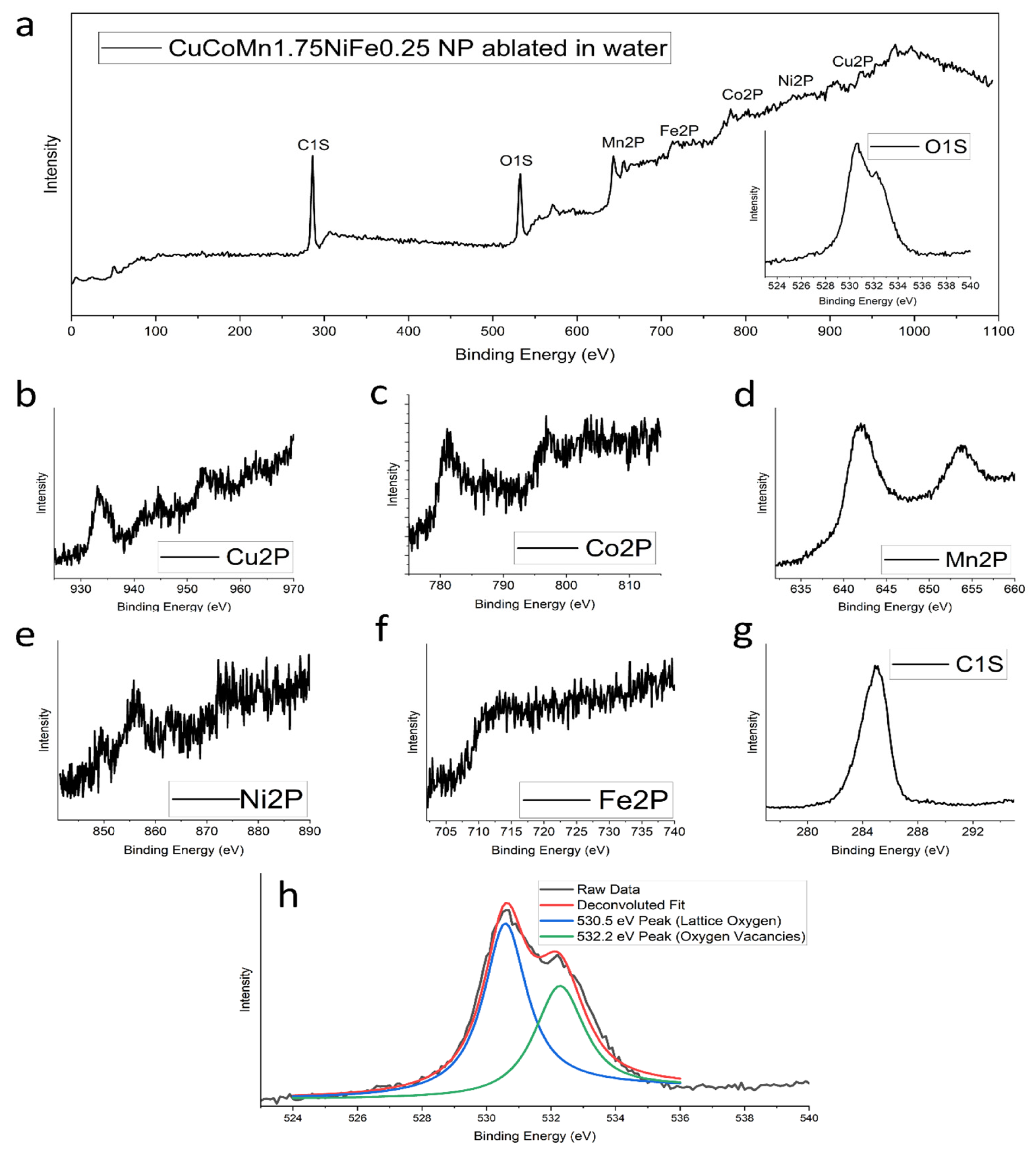 Nanomaterials 14 00554 g003