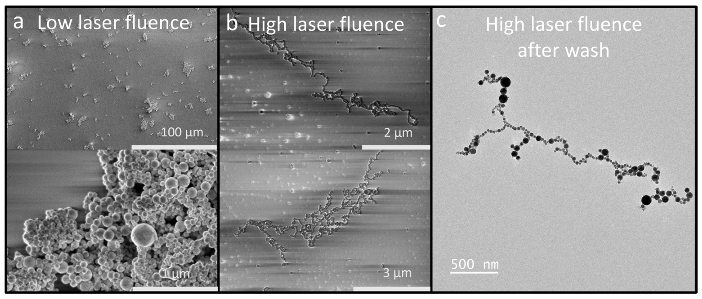 Nanomaterials 14 00554 g006