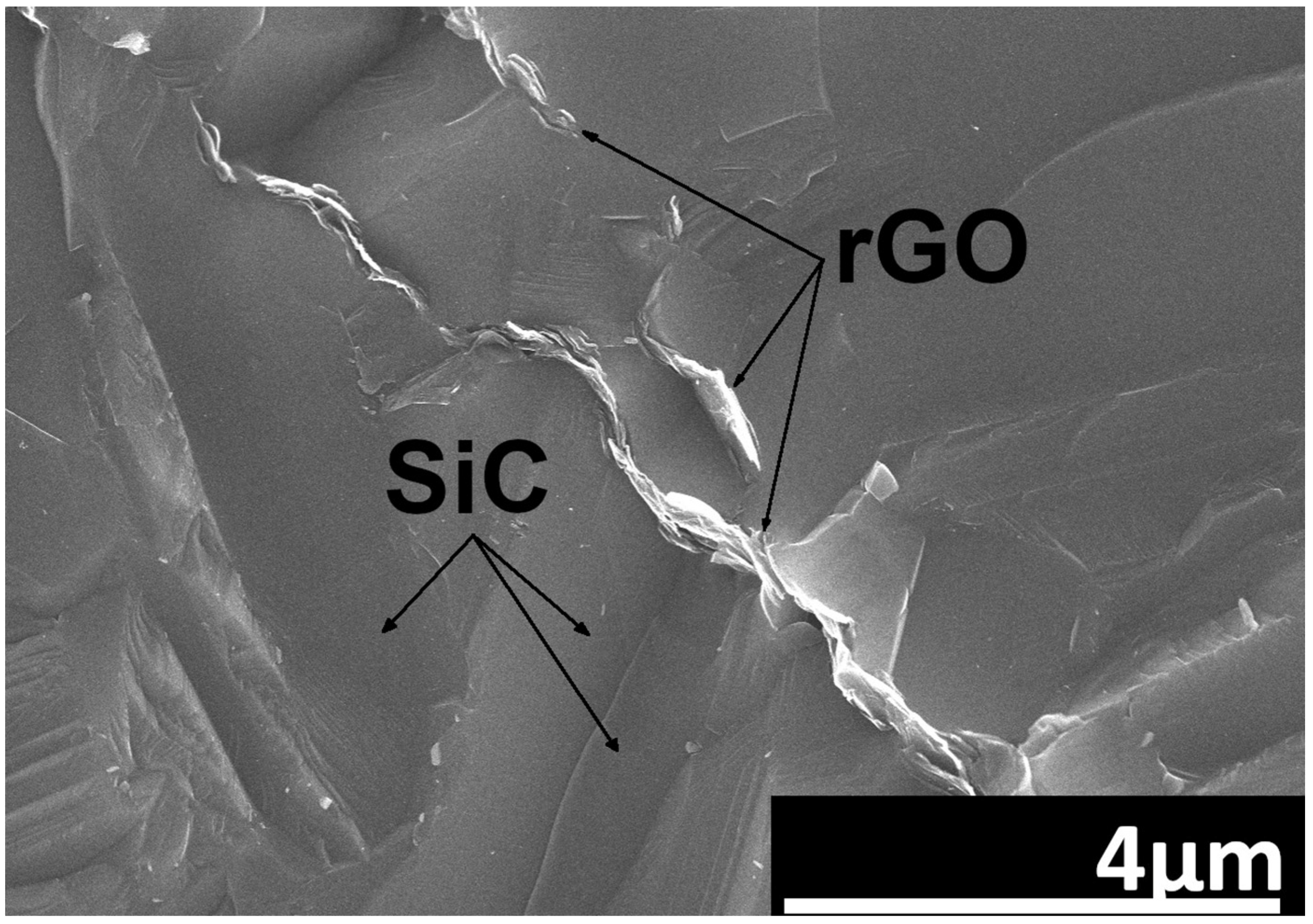 Nanomaterials 14 00555 g004