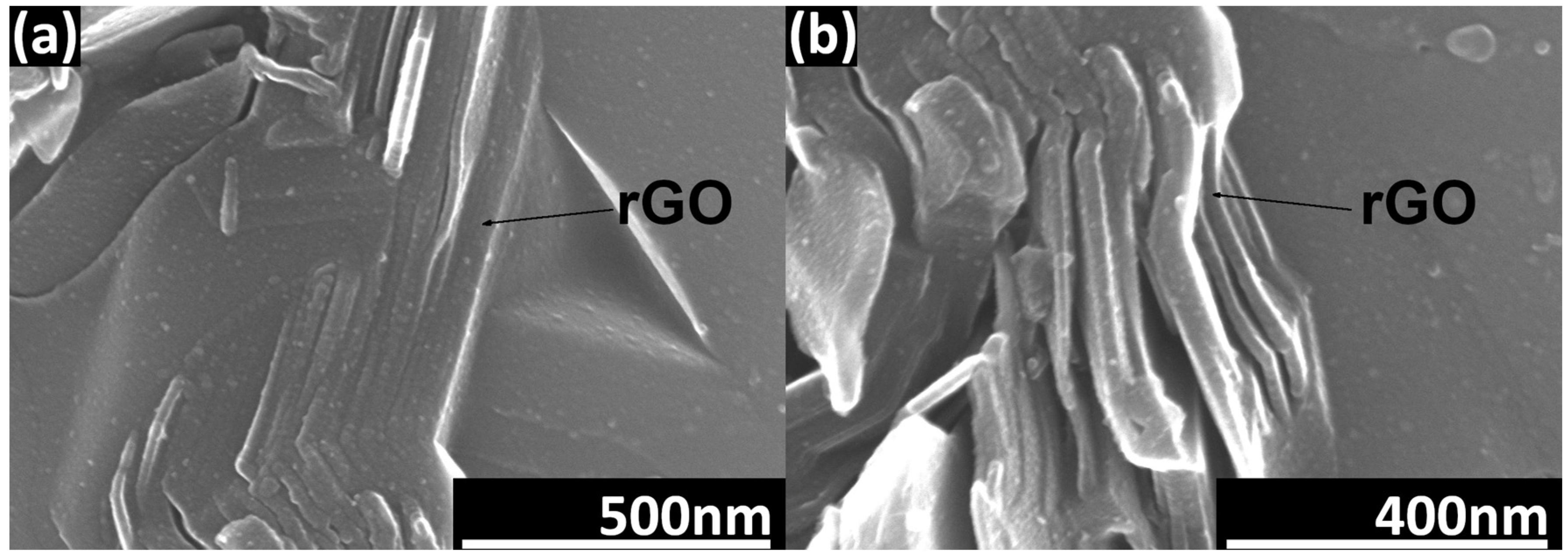 Nanomaterials 14 00555 g005