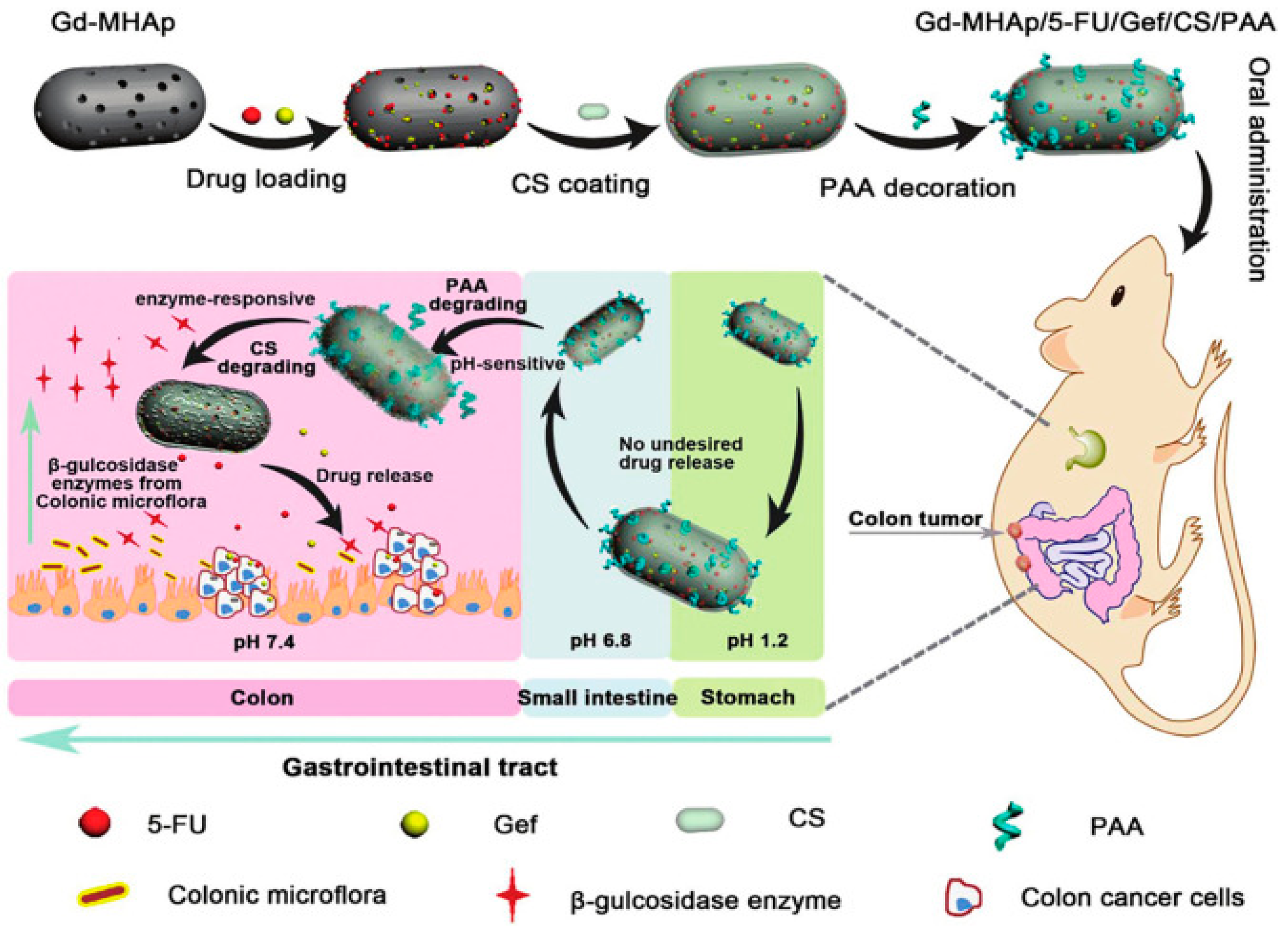 Nanomaterials 14 00557 g002