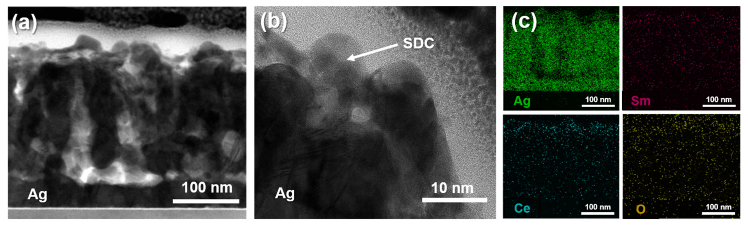 Nanomaterials 14 00561 g004