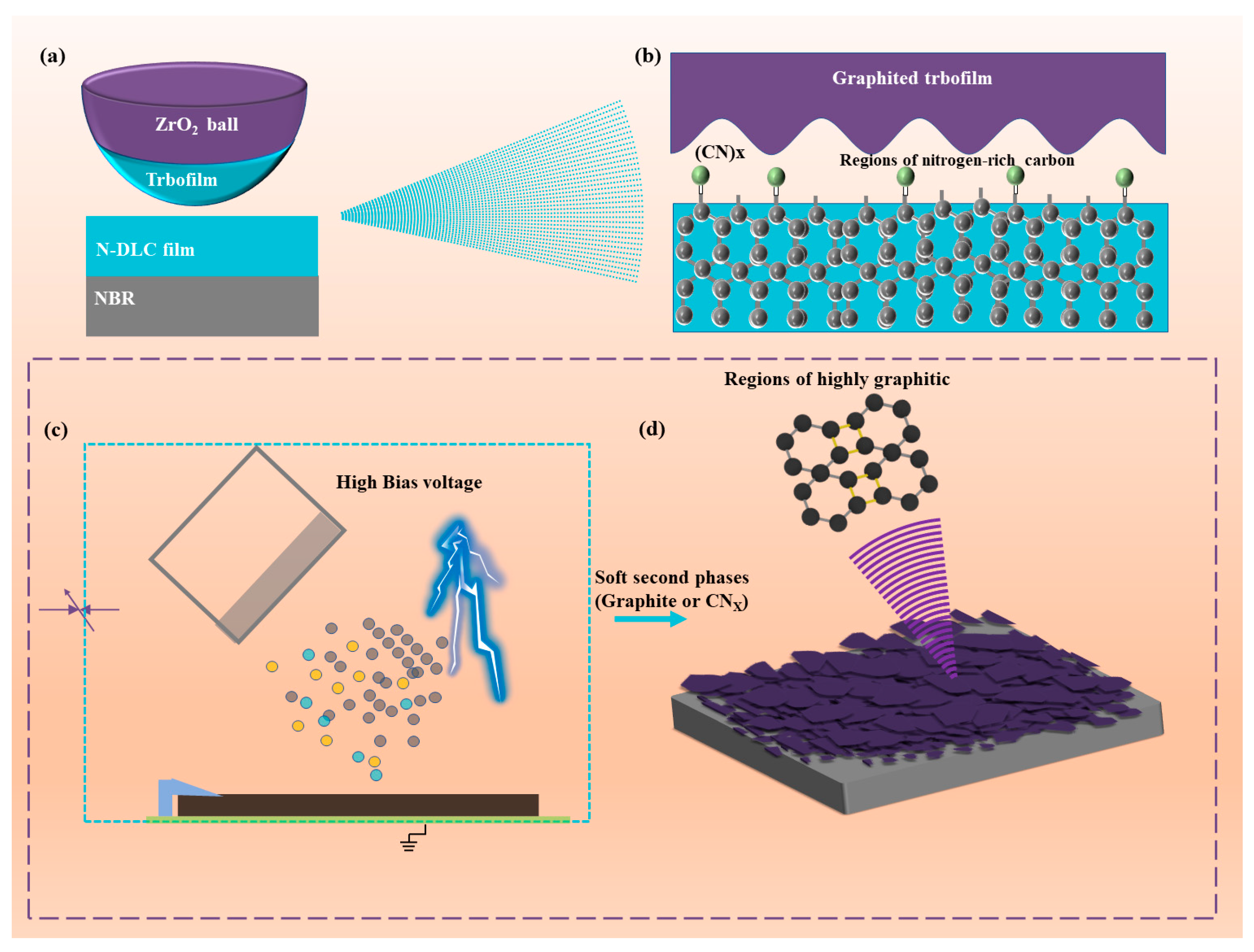 Nanomaterials 14 00564 g011