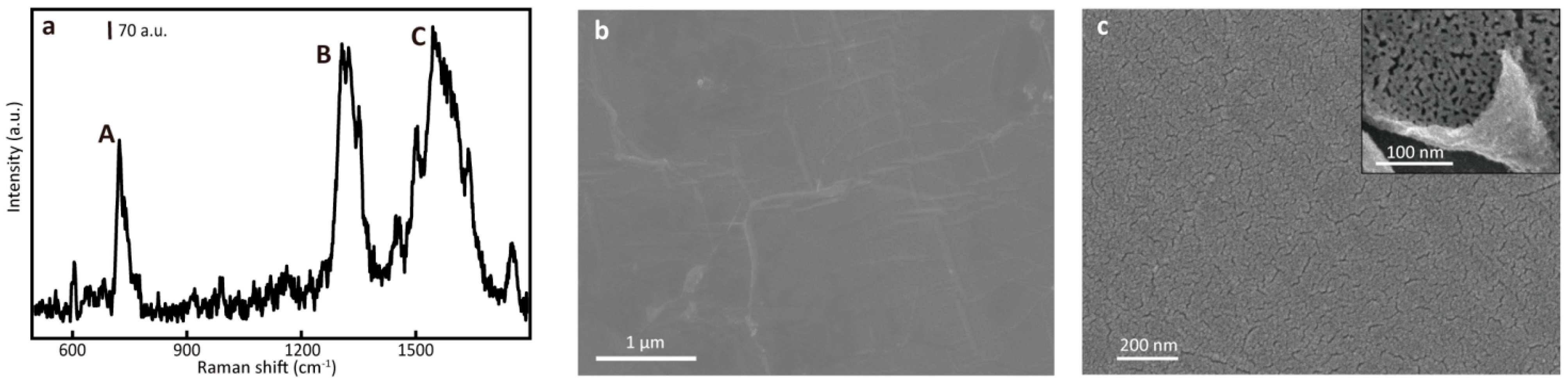 Nanomaterials 14 00566 g001