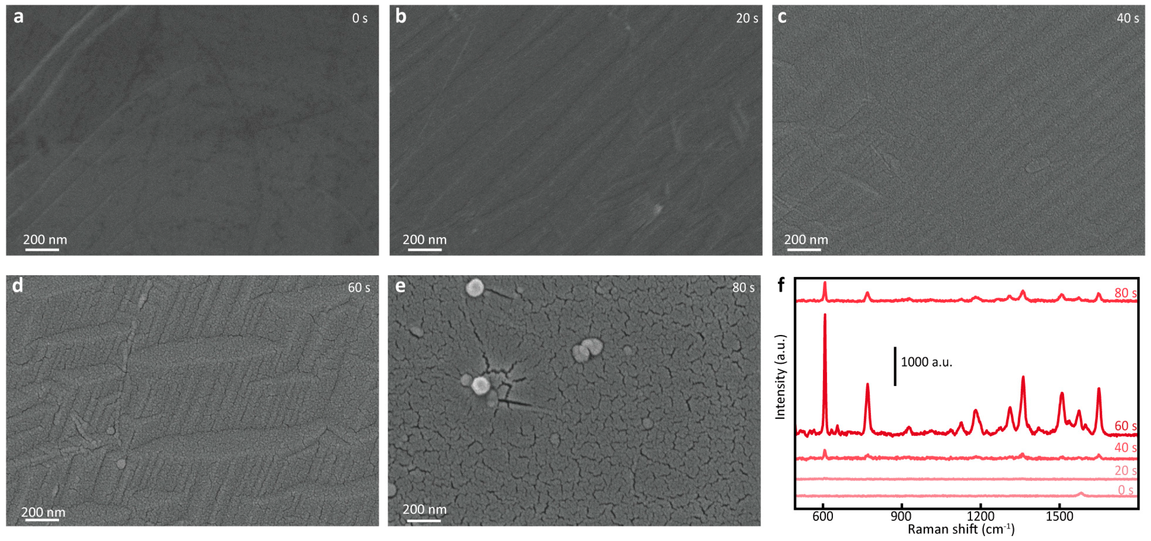 Nanomaterials 14 00566 g002