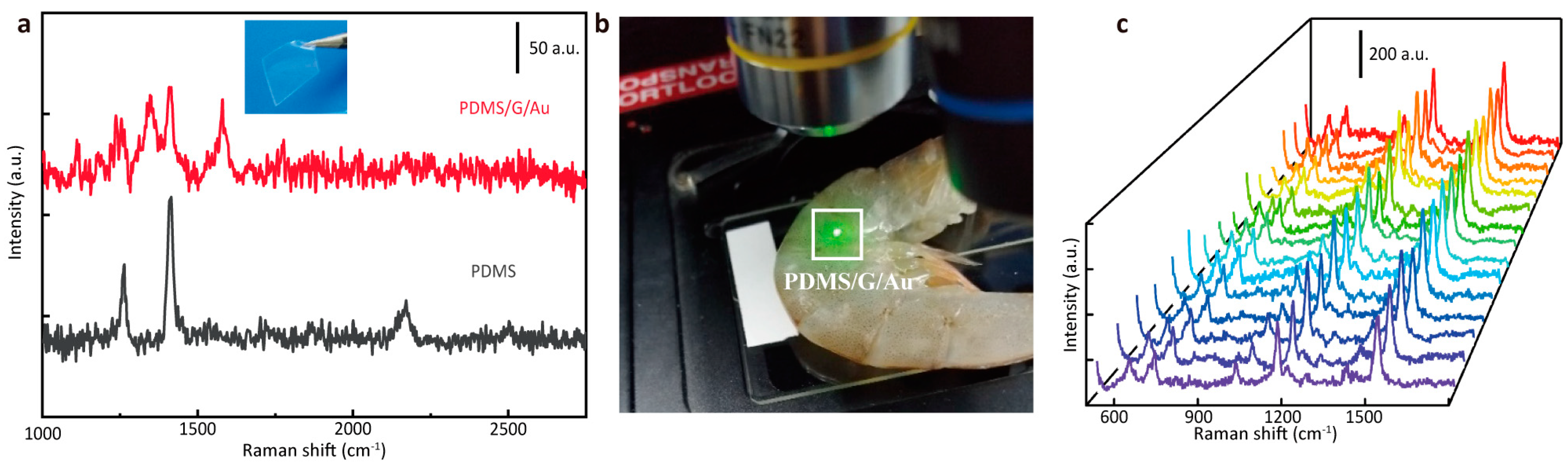 Nanomaterials 14 00566 g007