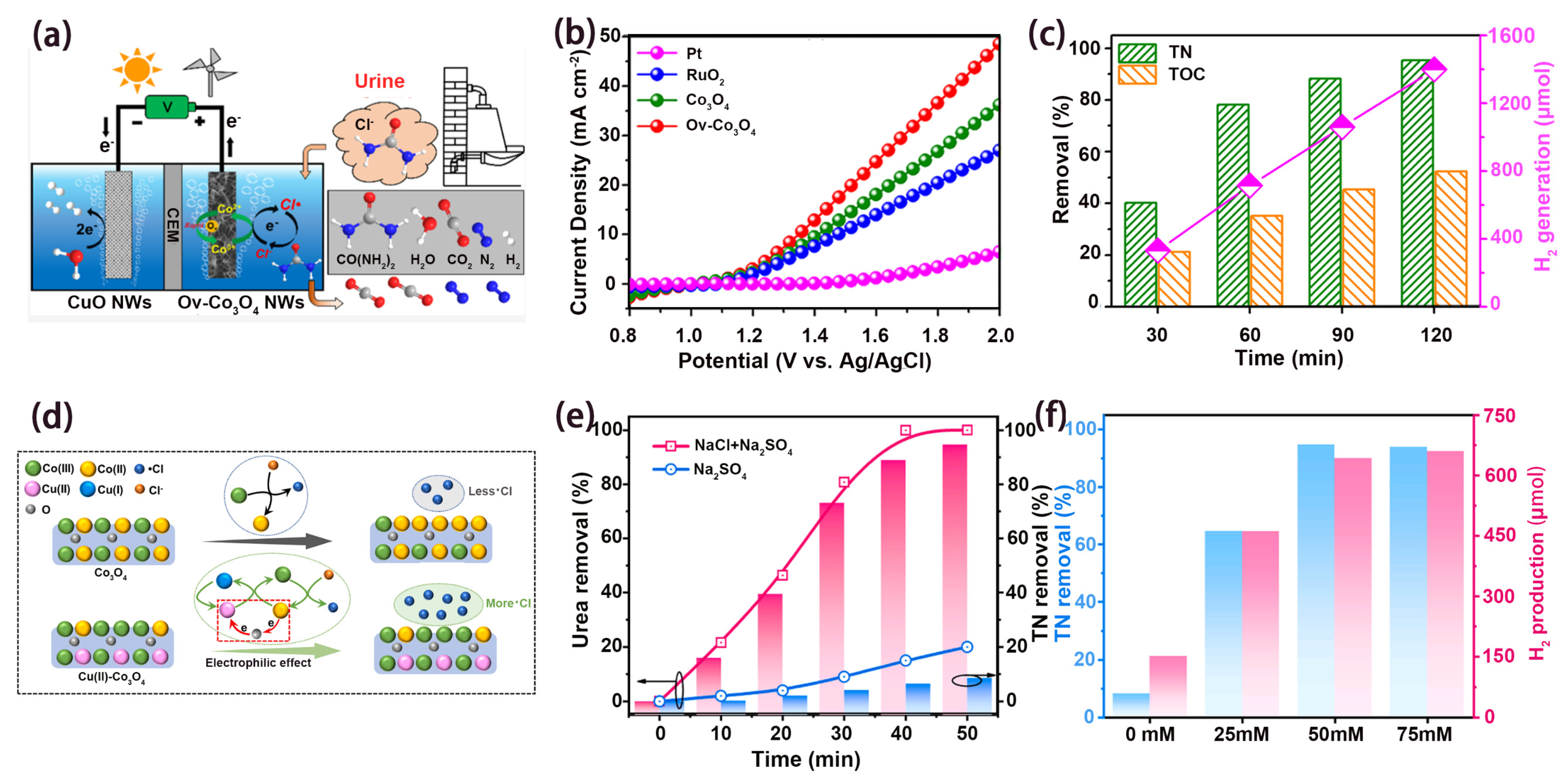 Nanomaterials 14 00567 g004