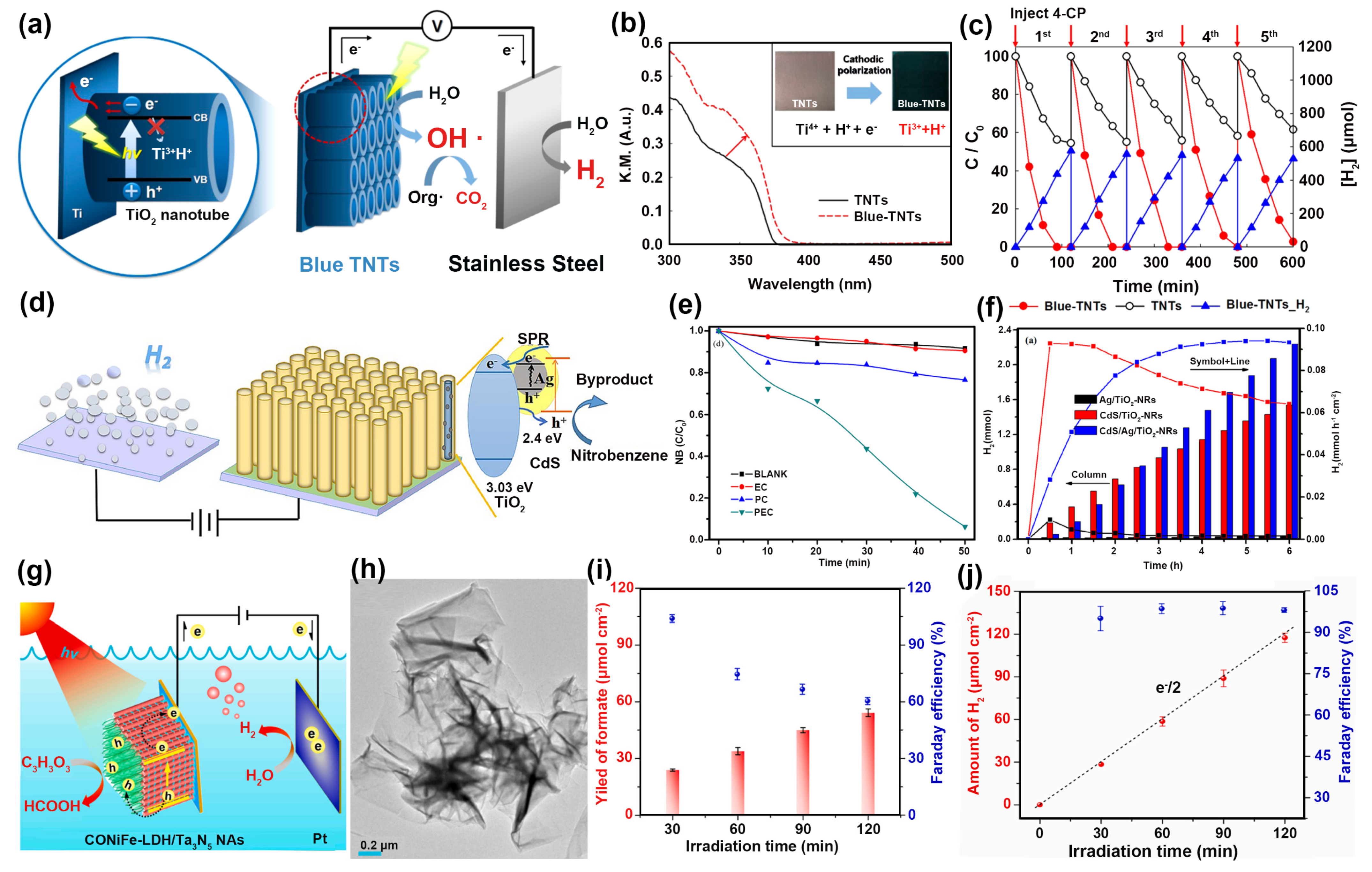Nanomaterials 14 00567 g008