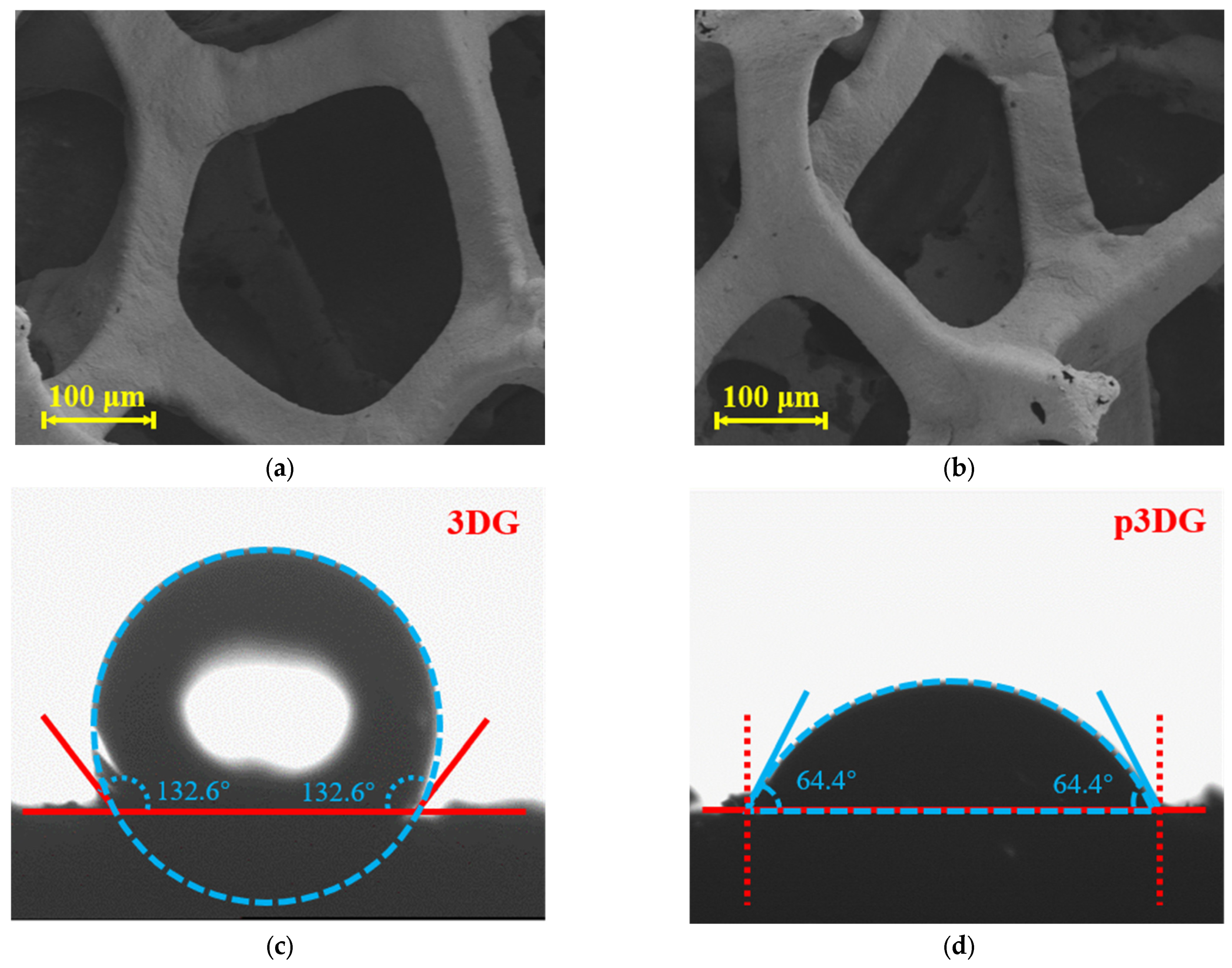 Nanomaterials 14 00569 g002