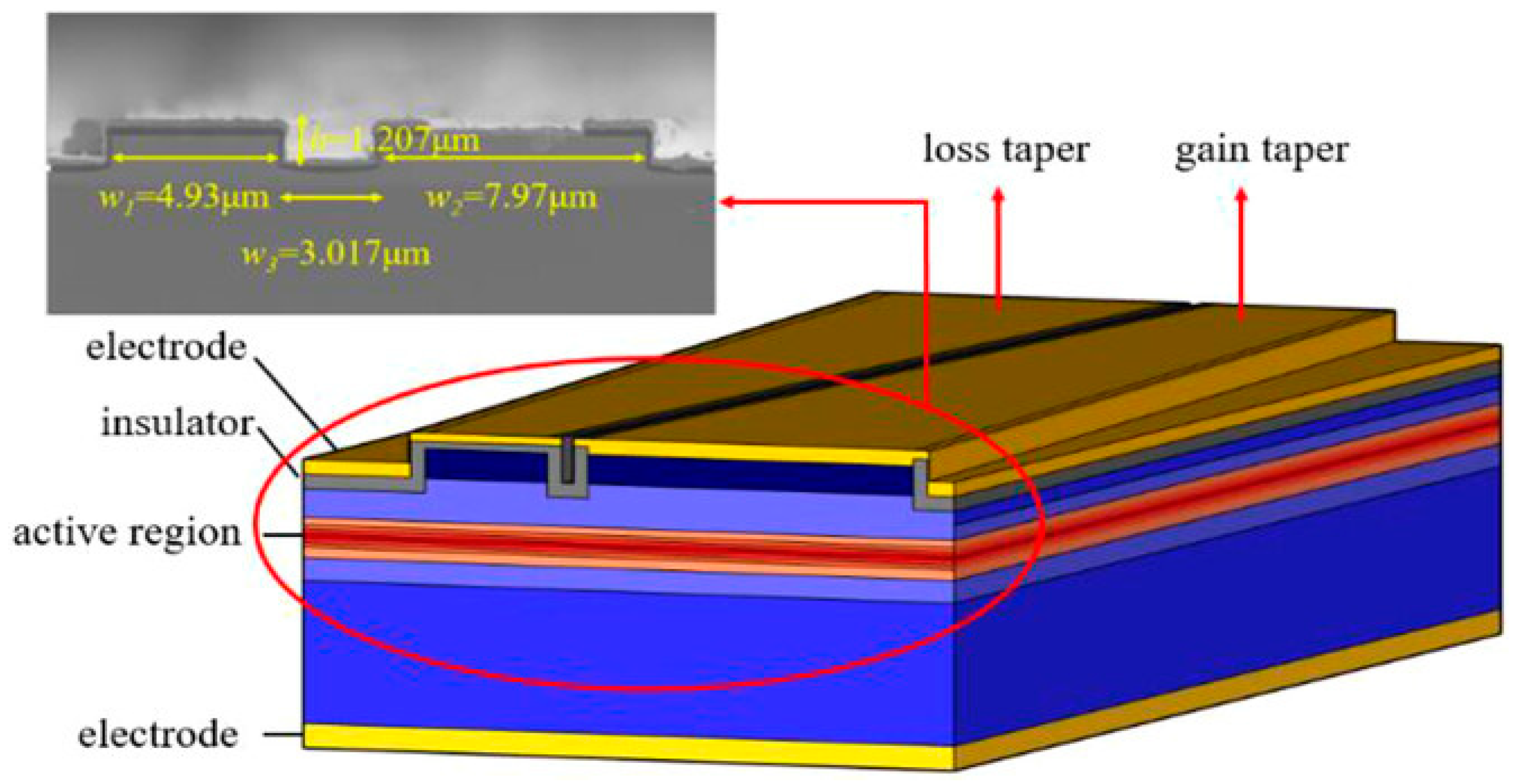 Nanomaterials 14 00571 g010