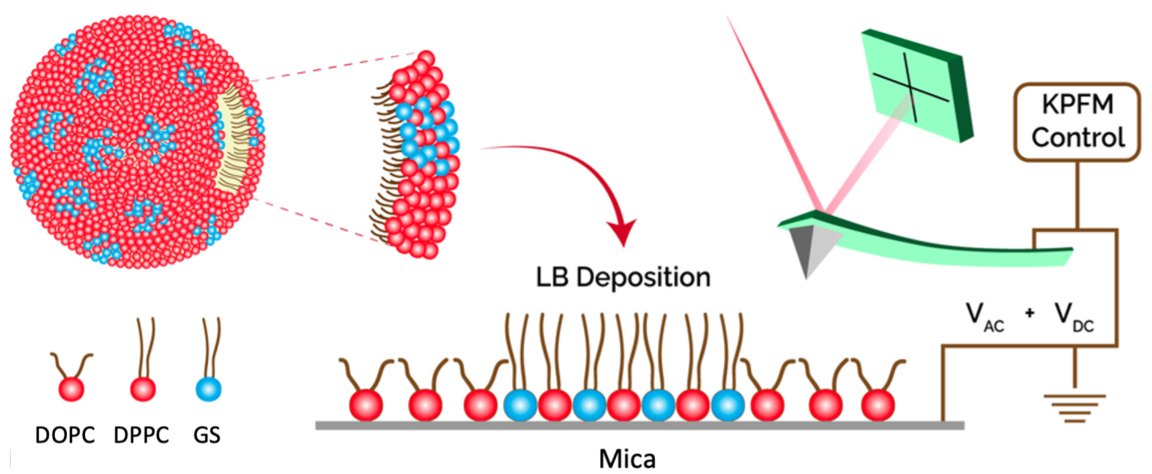 Nanomaterials 14 00572 g001