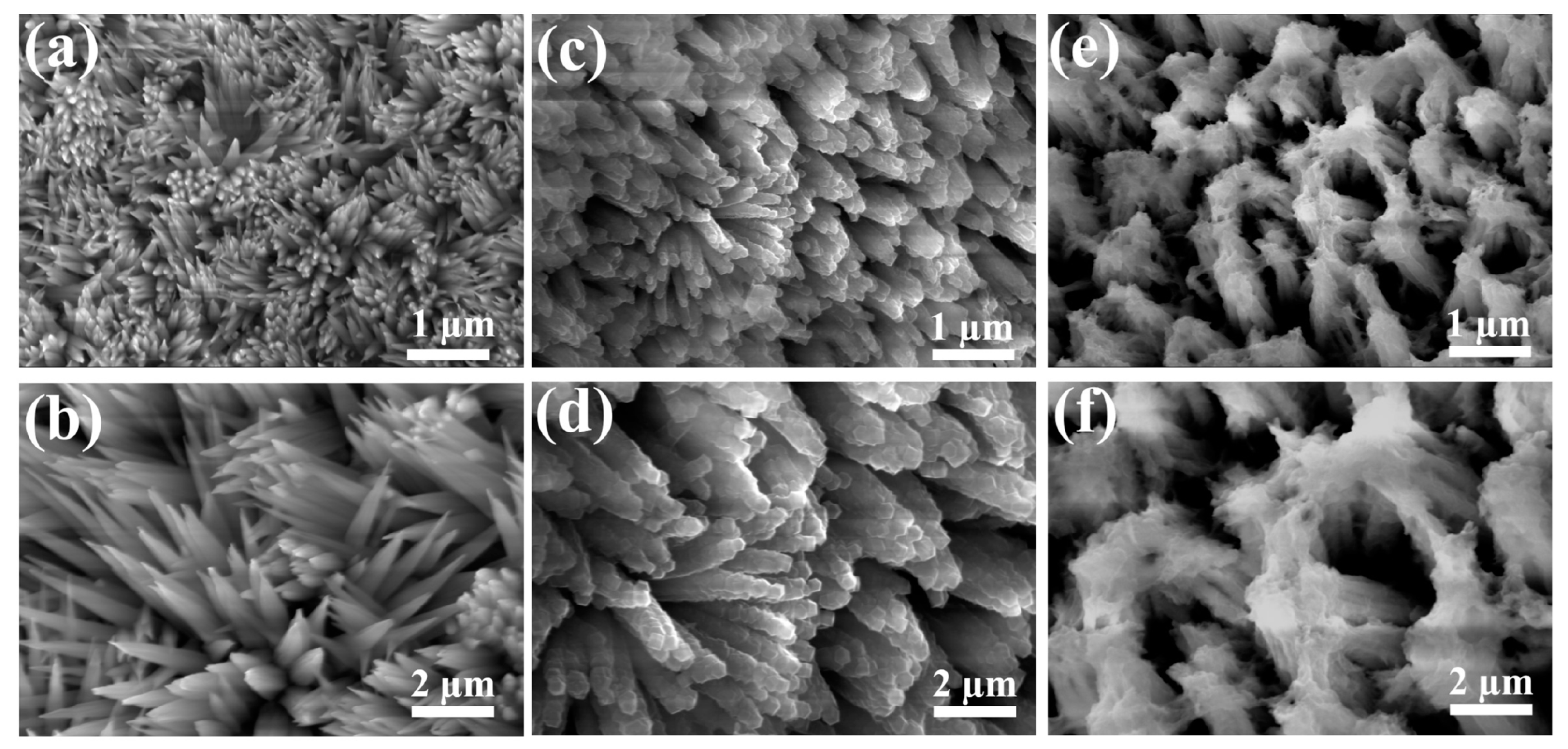 Nanomaterials 14 00573 g001