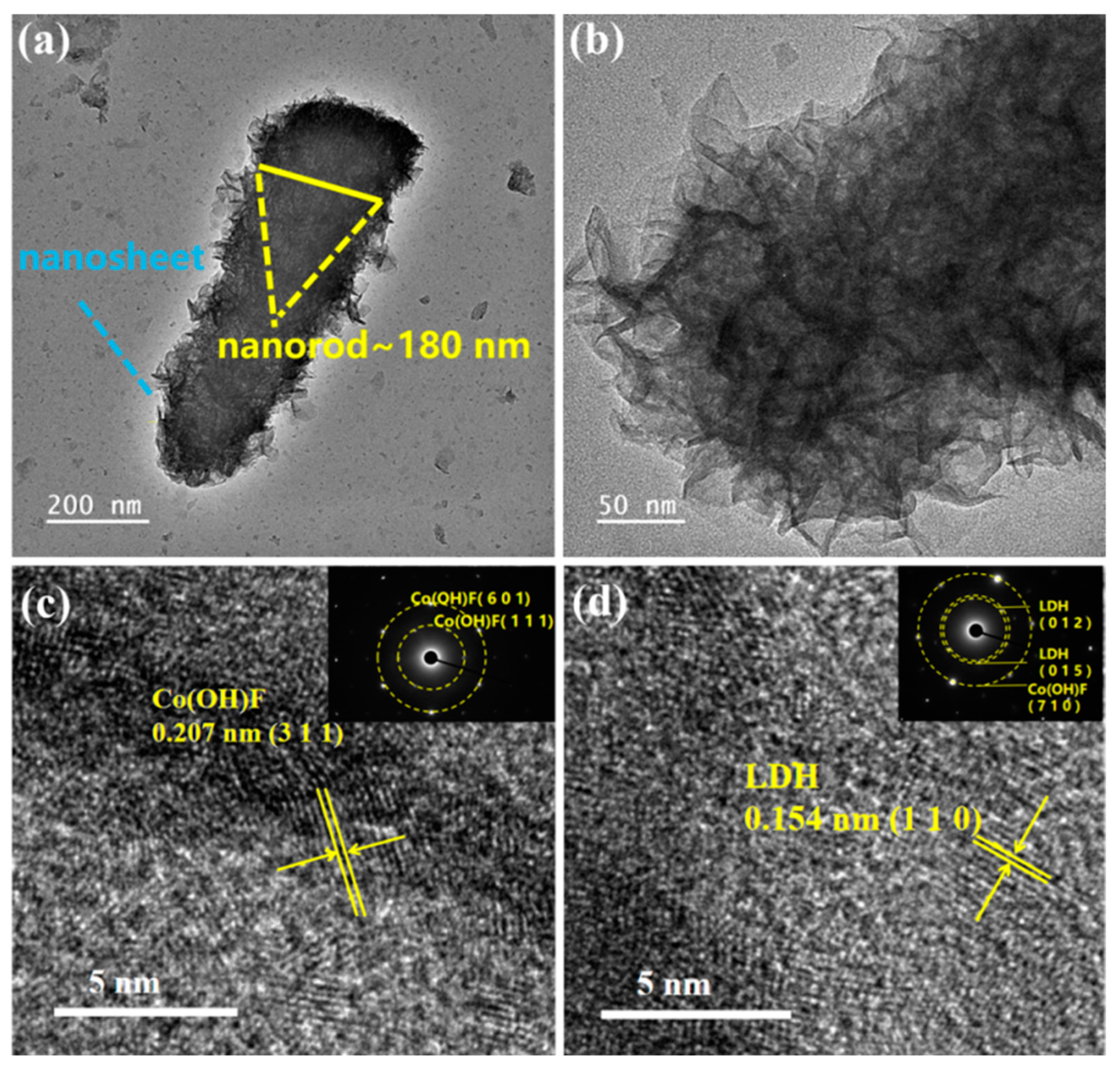 Nanomaterials 14 00573 g002