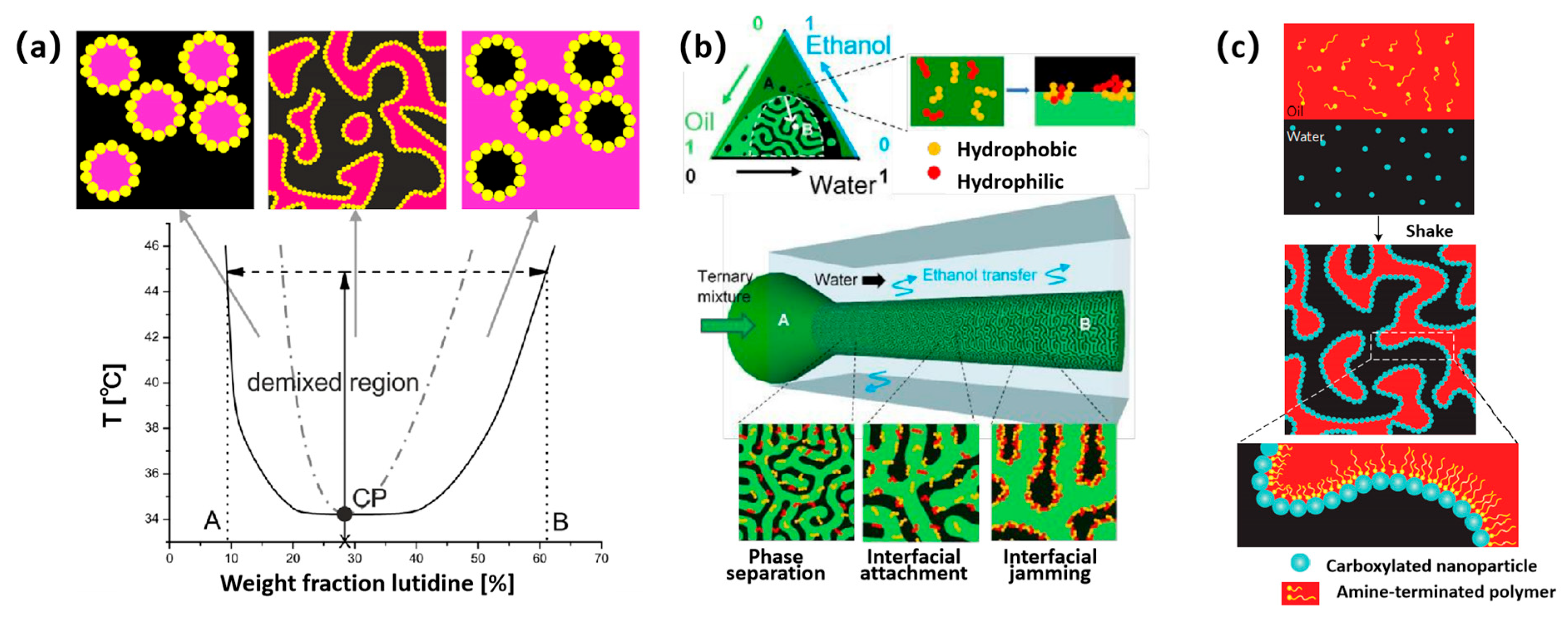 Nanomaterials 14 00574 g001 Nanomaterials 14 00574 g001