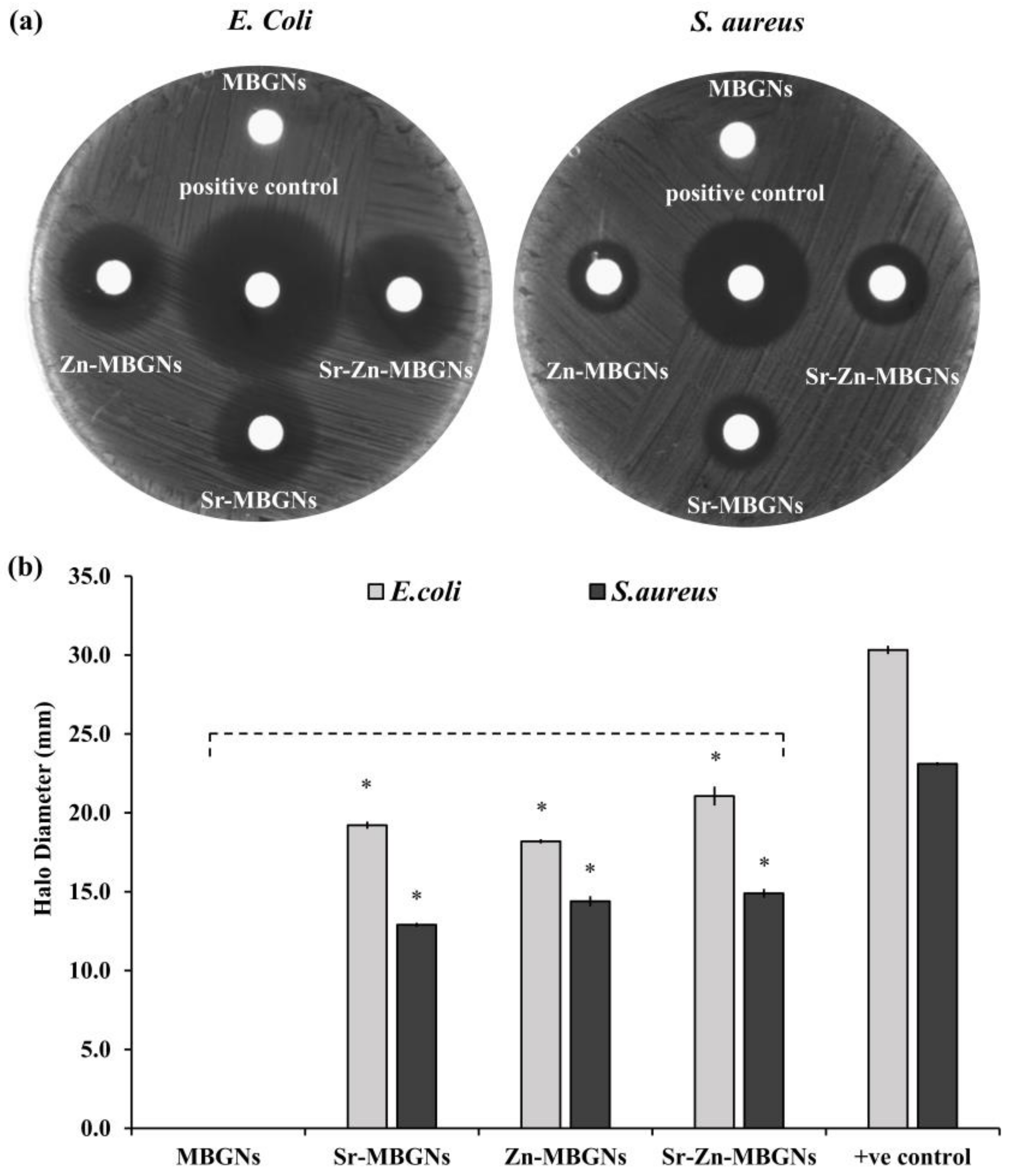 Nanomaterials 14 00575 g011
