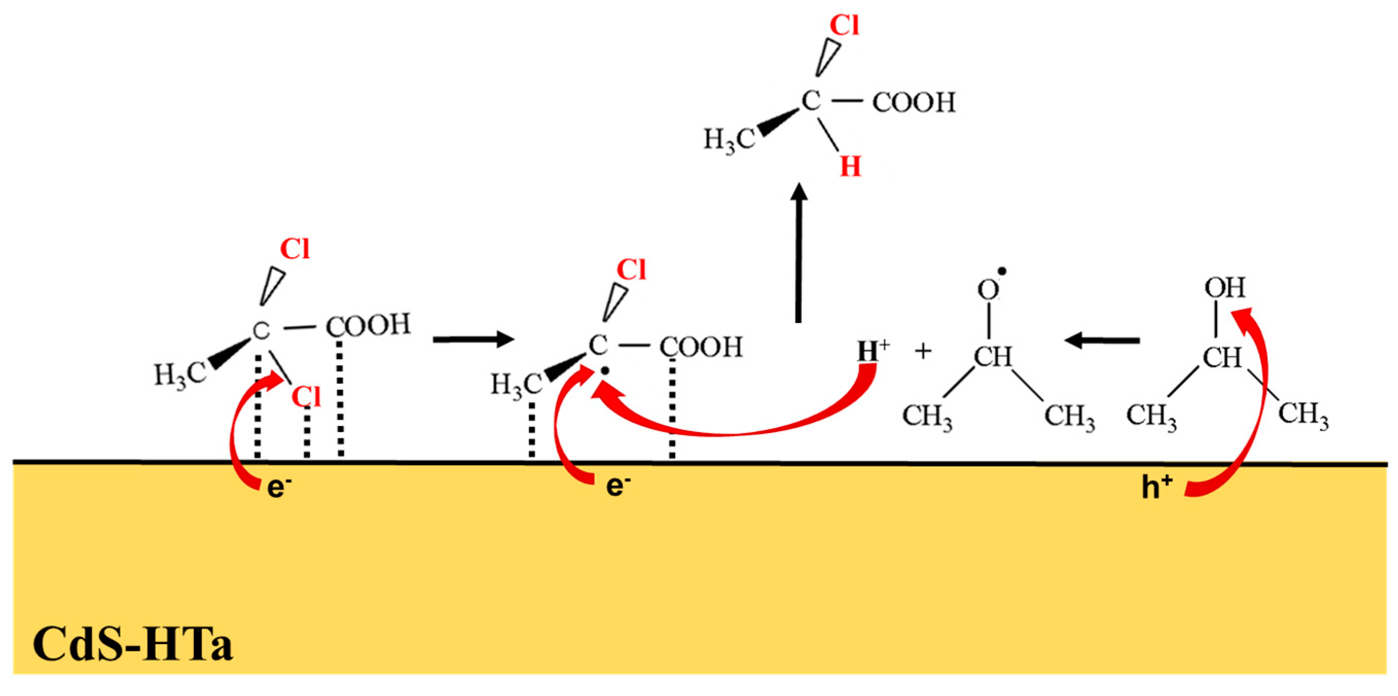 Nanomaterials 14 00579 sch001 Nanomaterials 14 00579 sch001