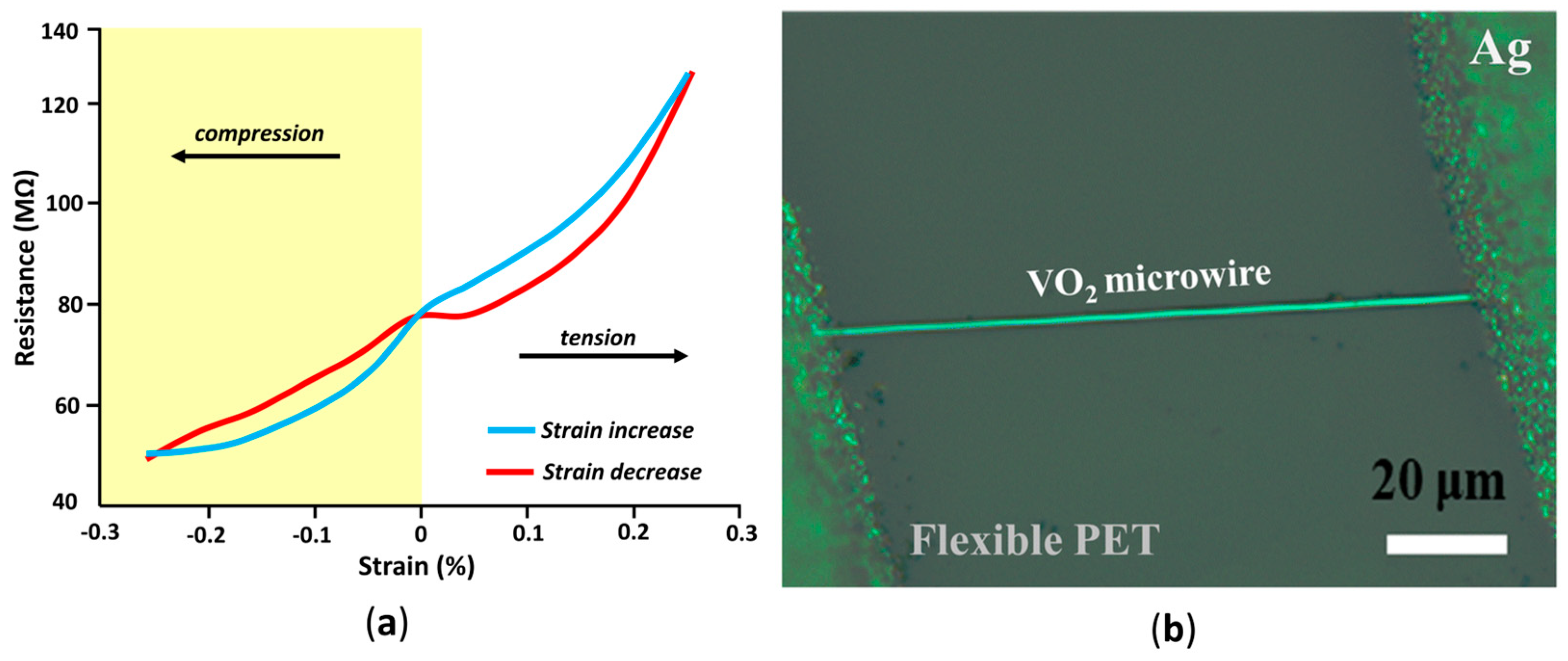 Nanomaterials 14 00582 g004