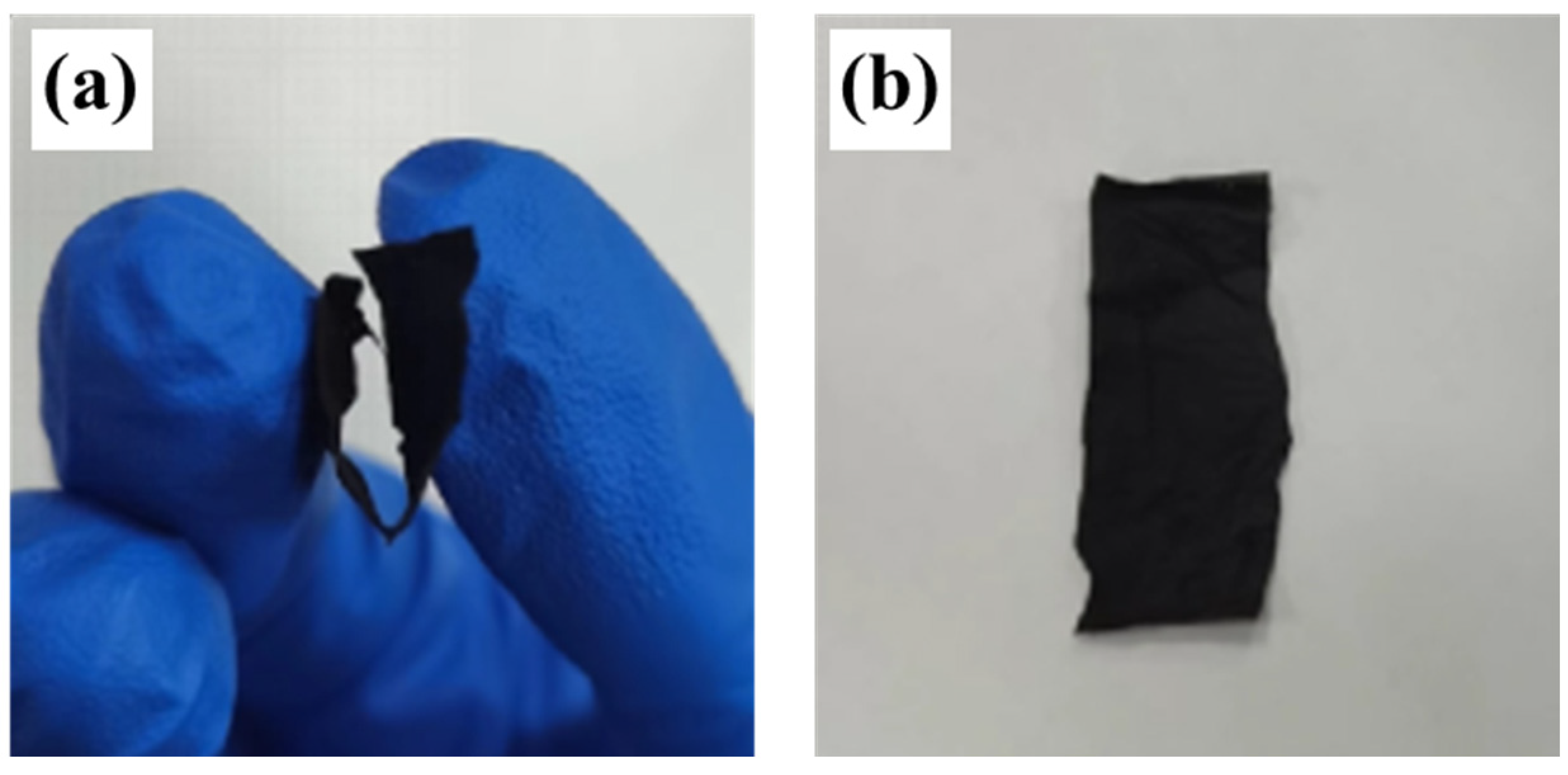 Nanomaterials 14 00587 g002