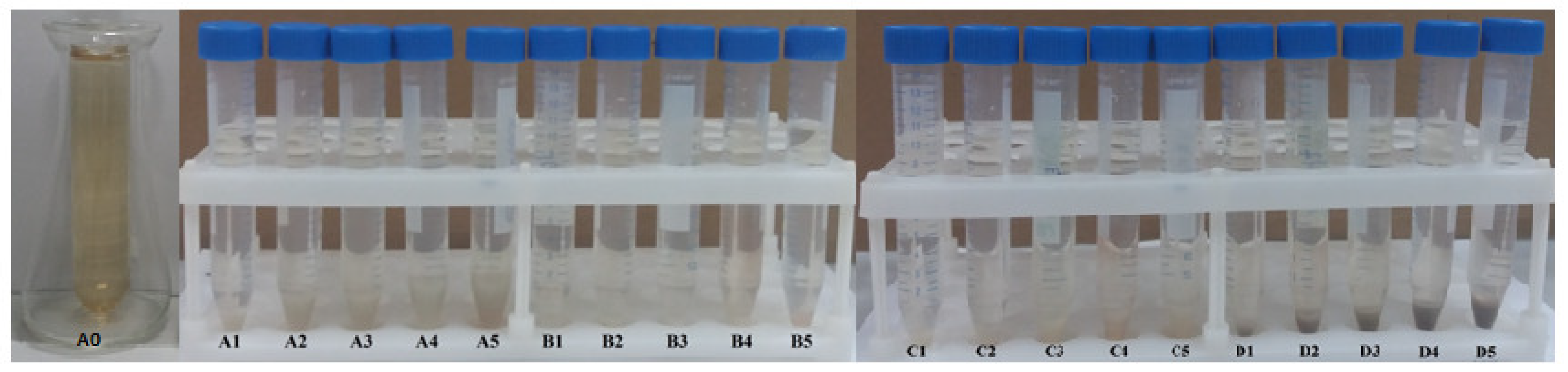 Nanomaterials 14 00588 g001