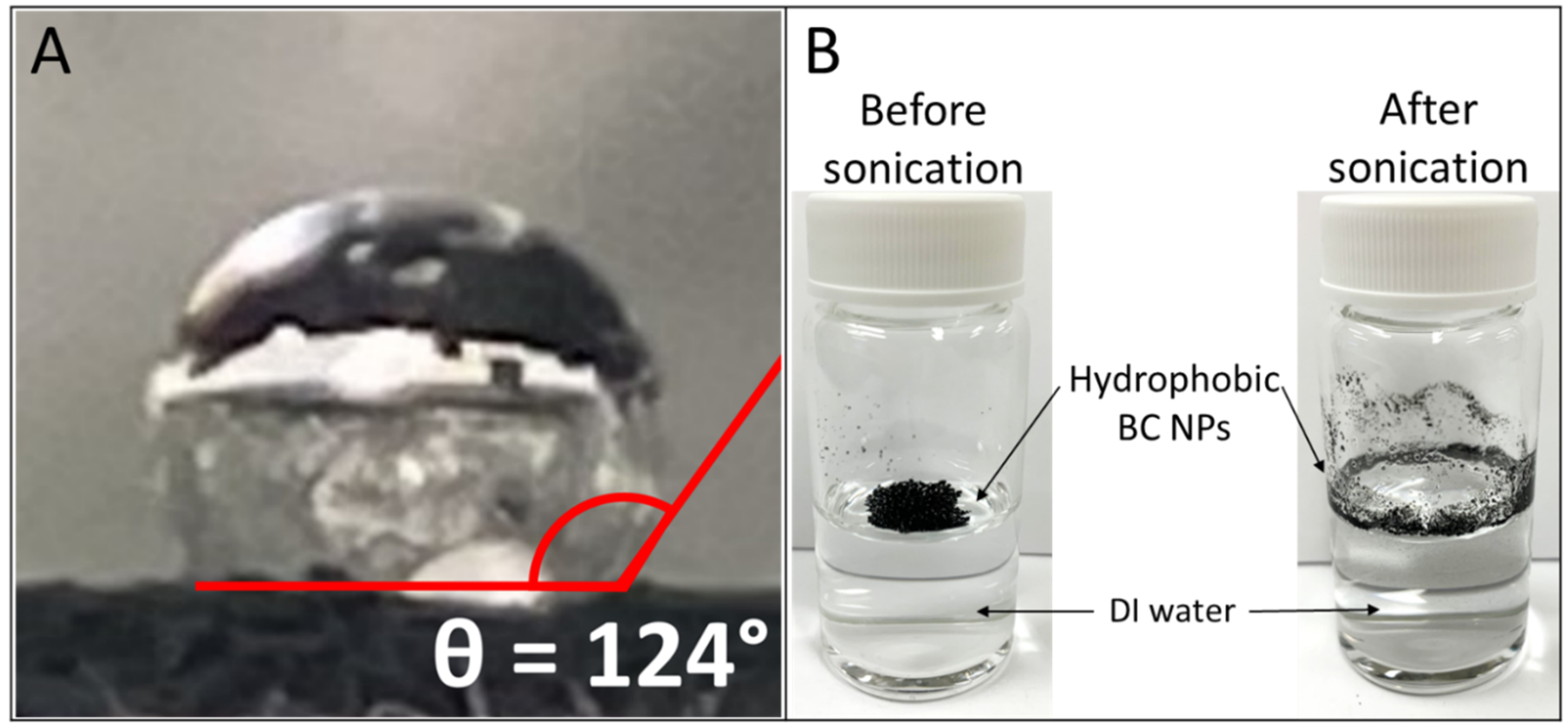 Nanomaterials 14 00589 g002