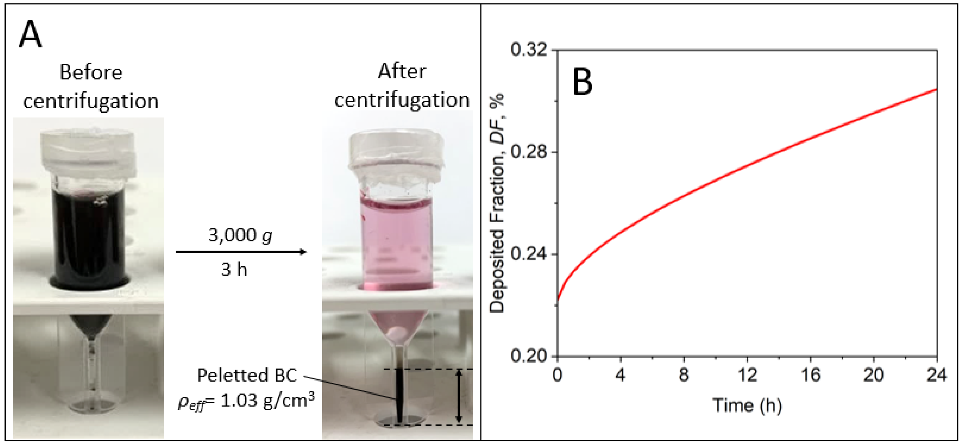 Nanomaterials 14 00589 g005