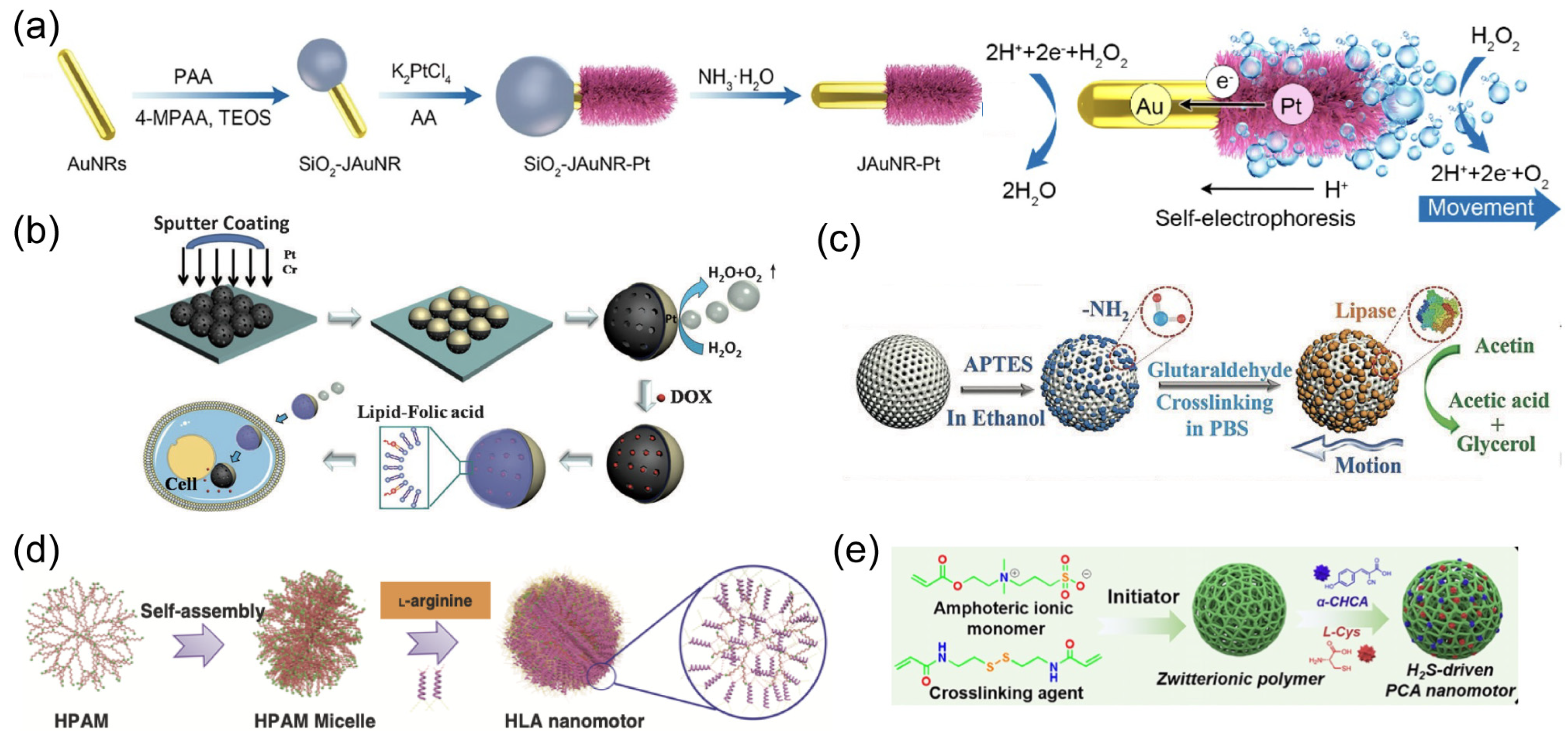 Nanomaterials 14 00595 g002