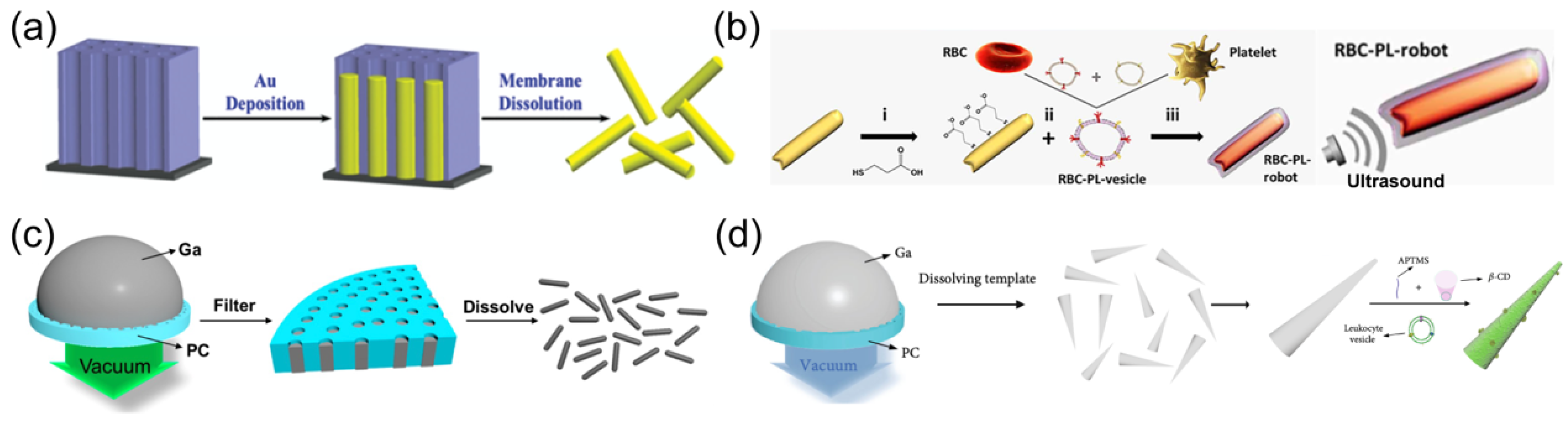 Nanomaterials 14 00595 g003
