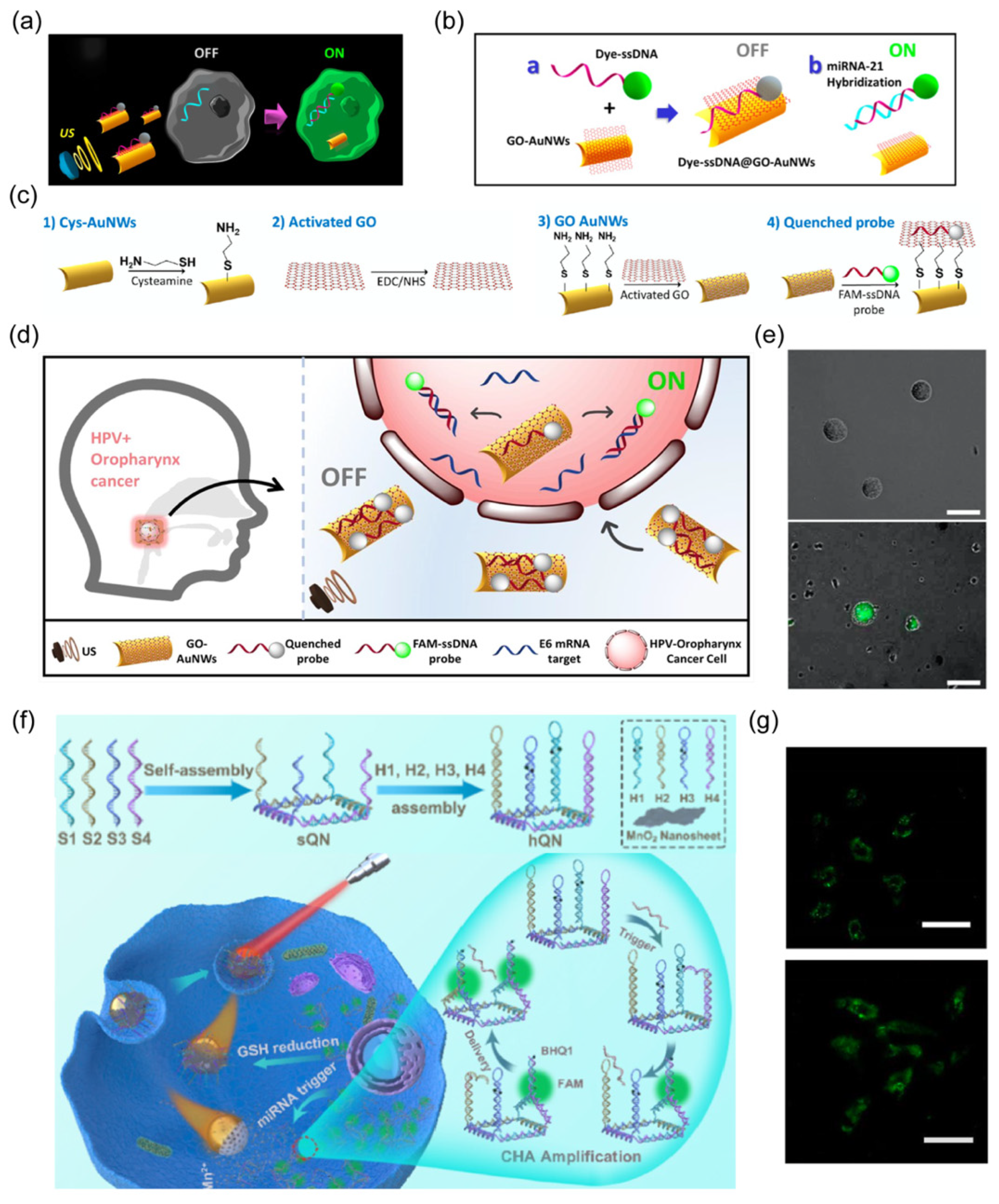 Nanomaterials 14 00595 g007