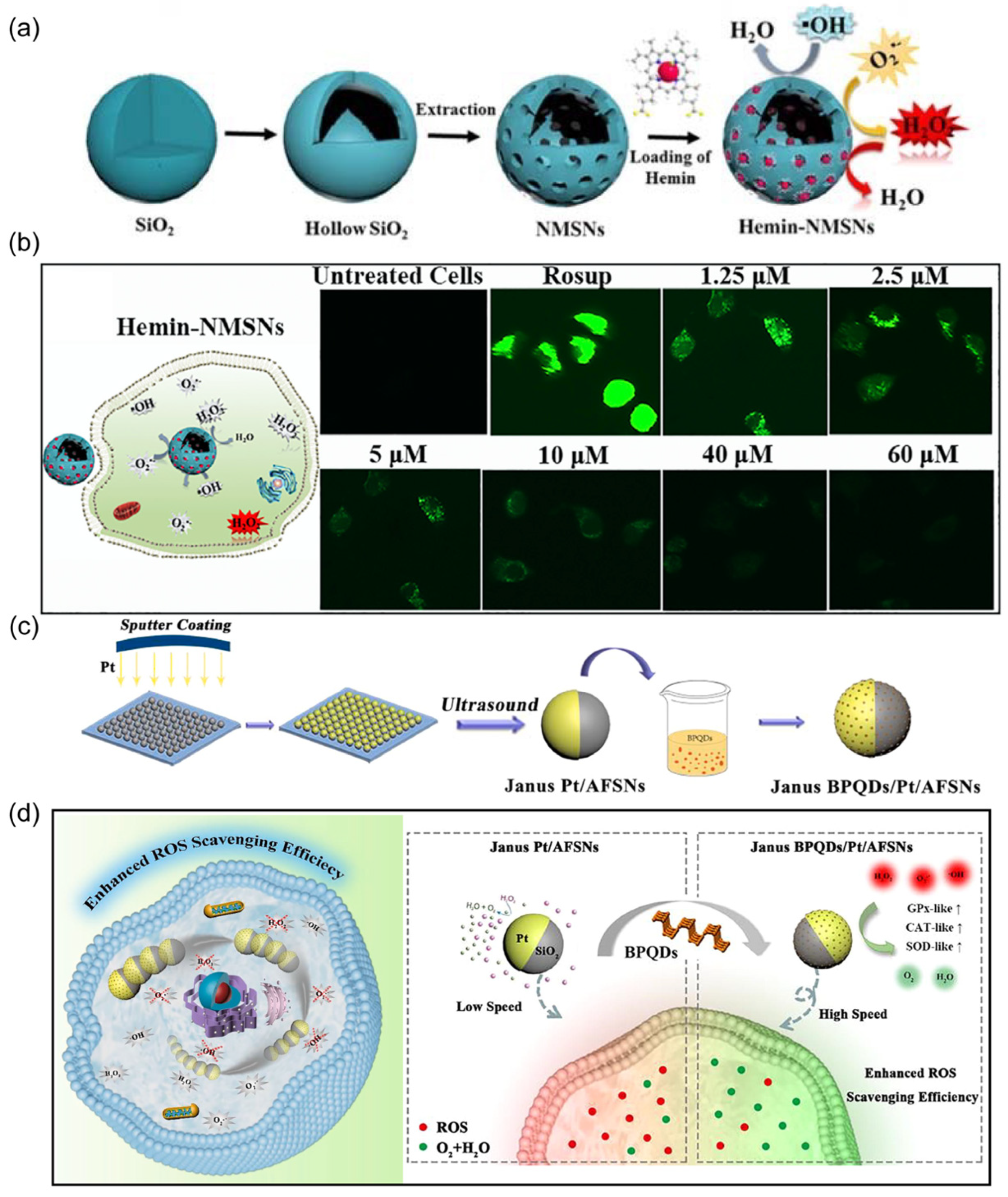 Nanomaterials 14 00595 g008
