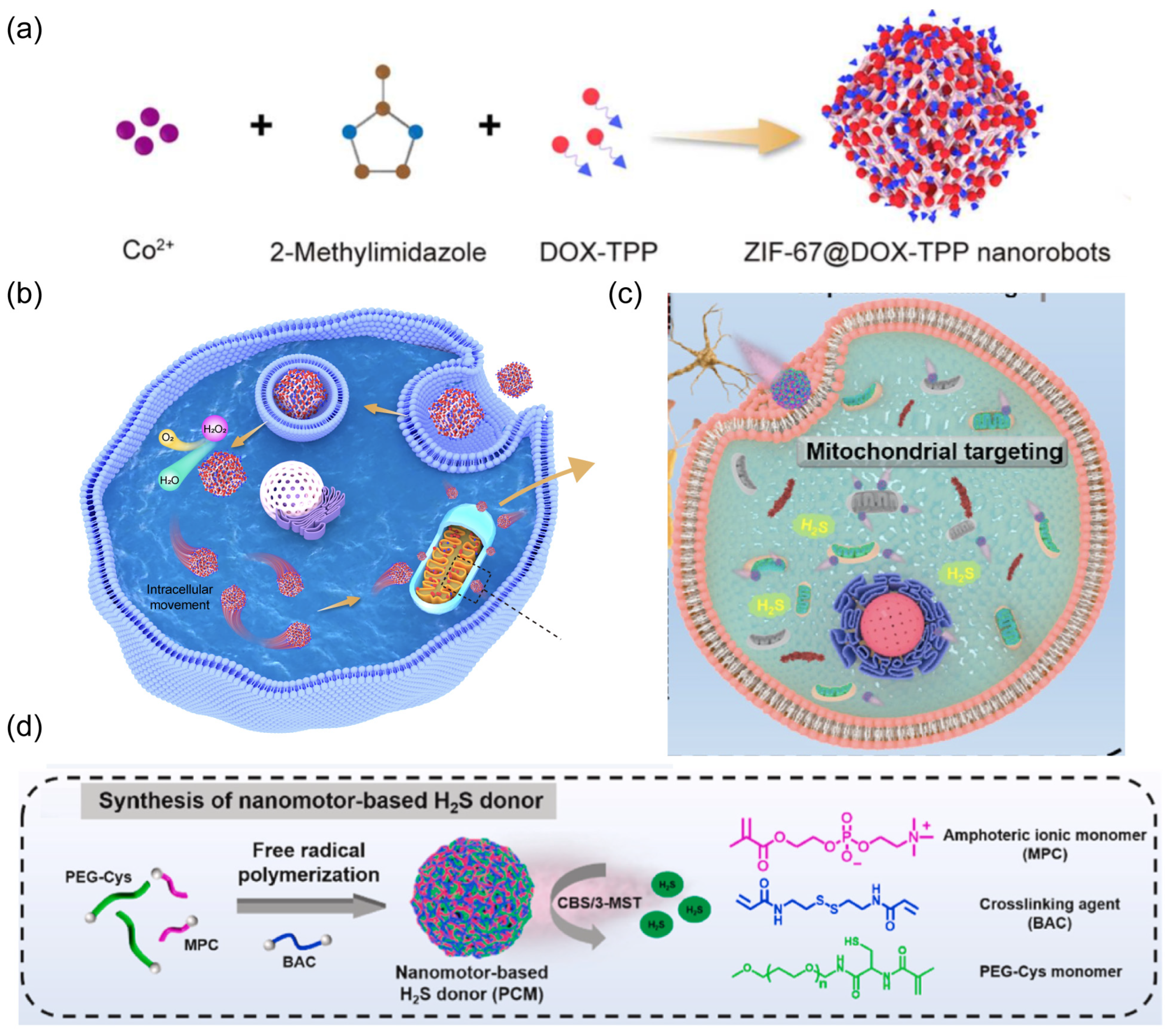 Nanomaterials 14 00595 g012