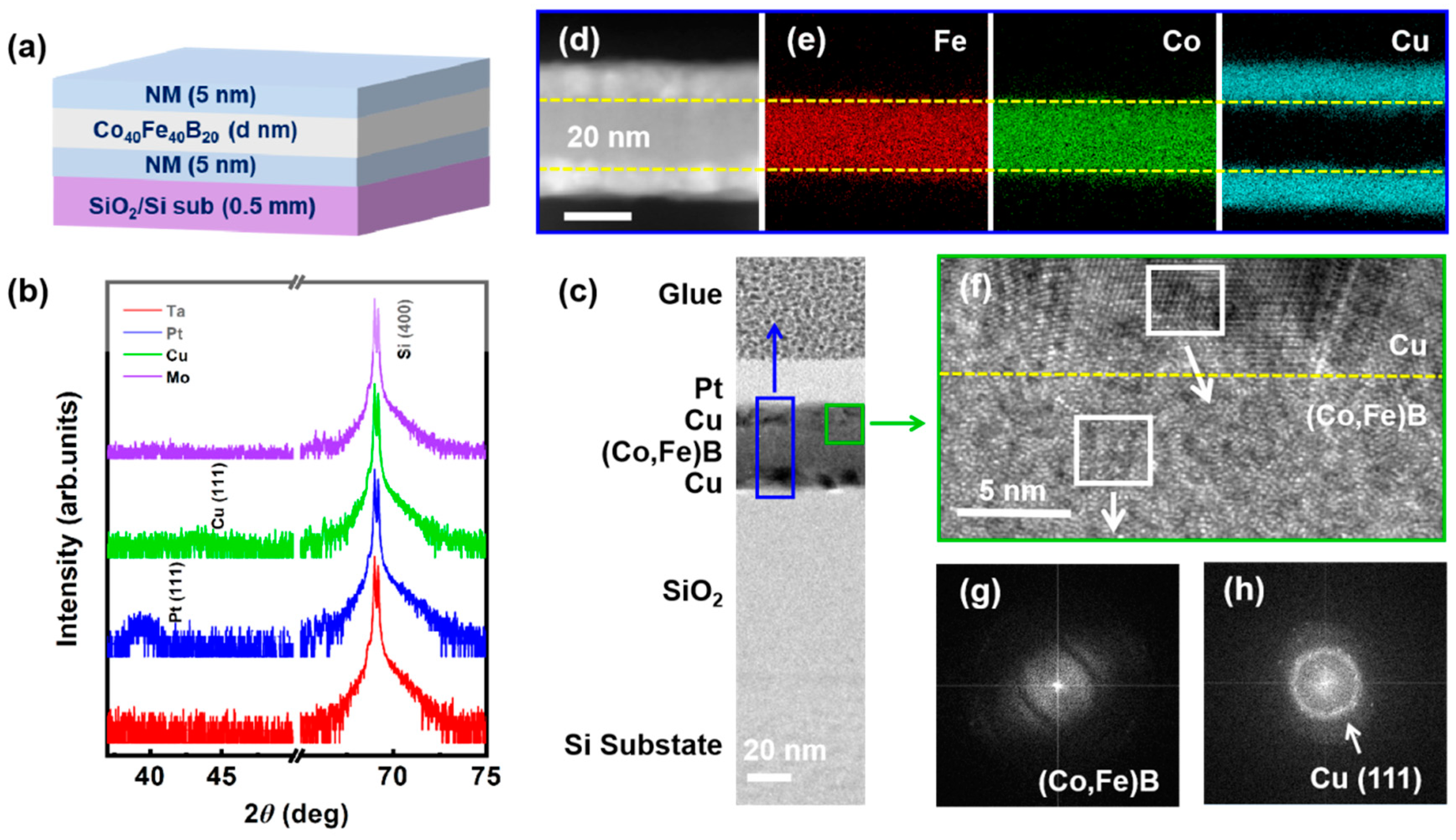 Nanomaterials 14 00596 g001