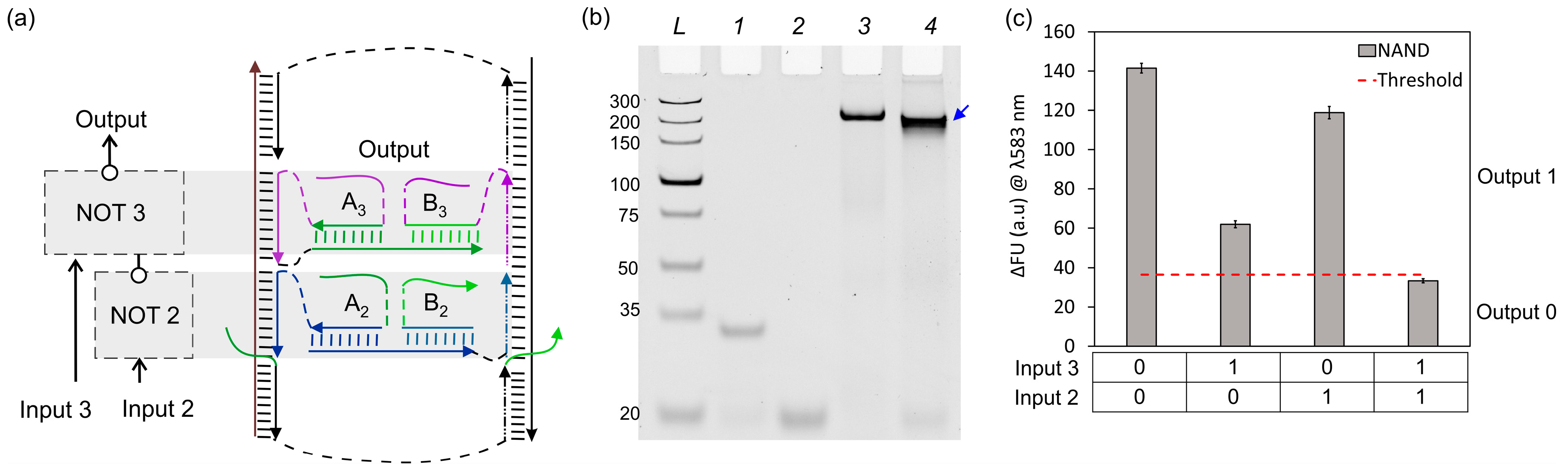 Nanomaterials 14 00600 g007