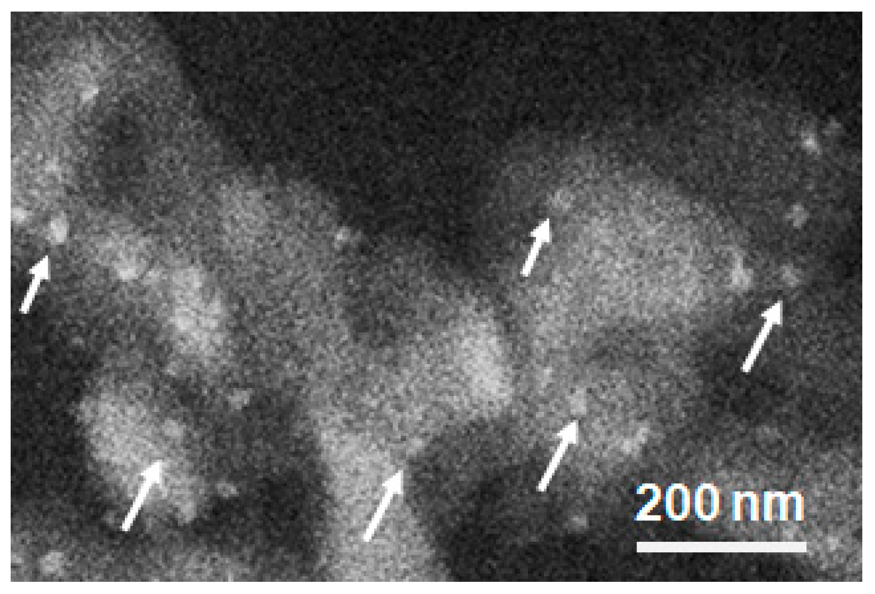 Nanomaterials 14 00603 g004