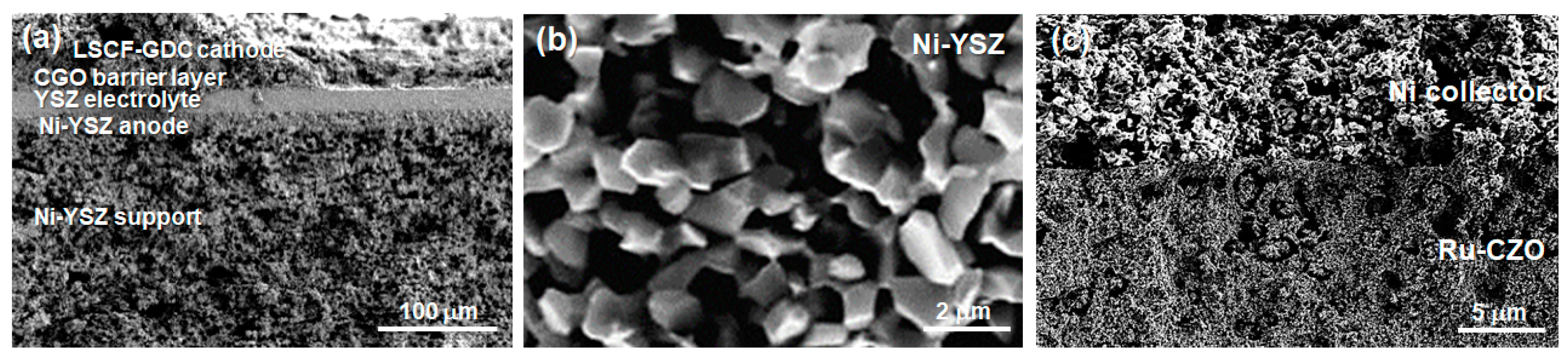Nanomaterials 14 00603 g012