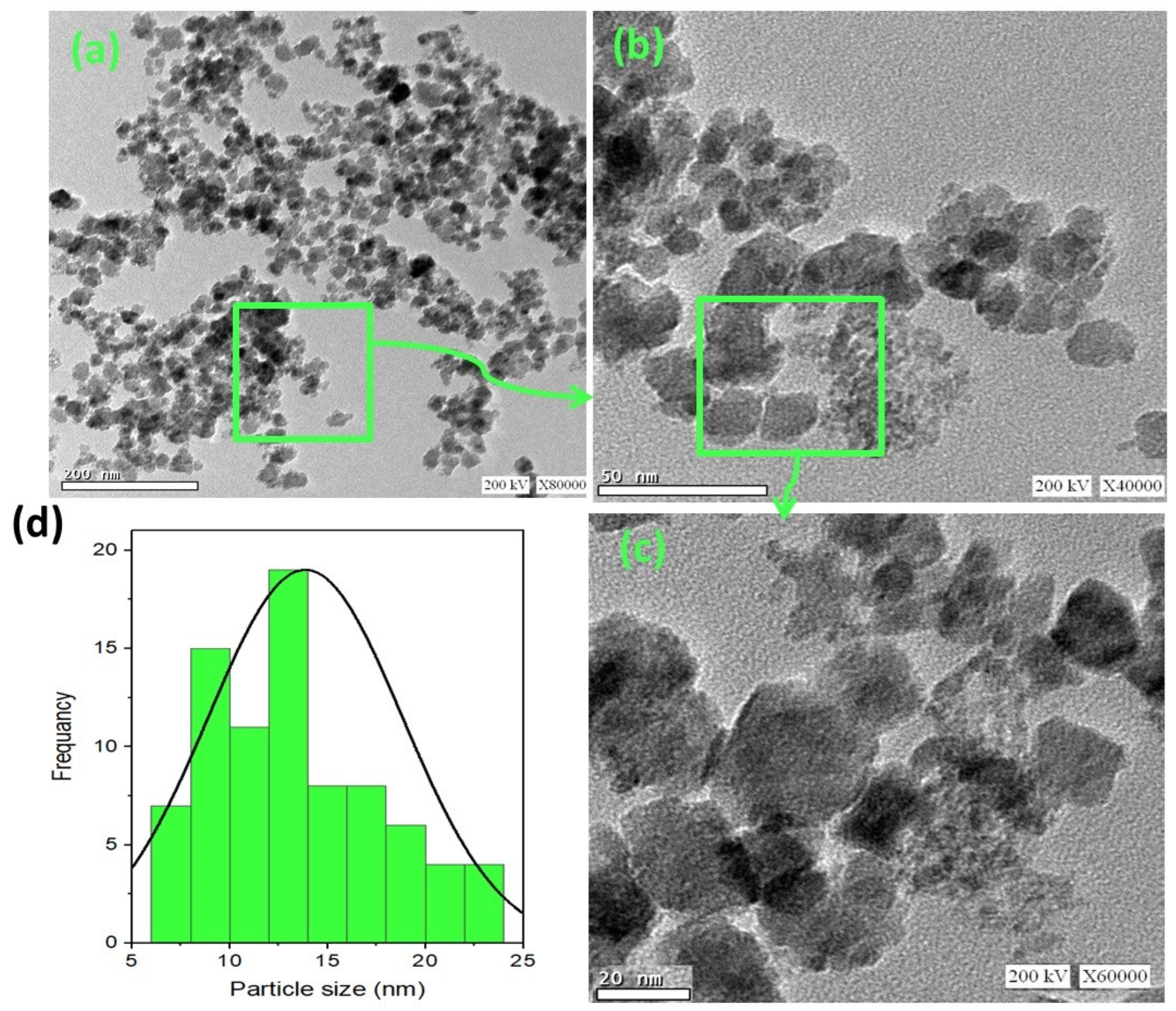 Nanomaterials 14 00604 g004