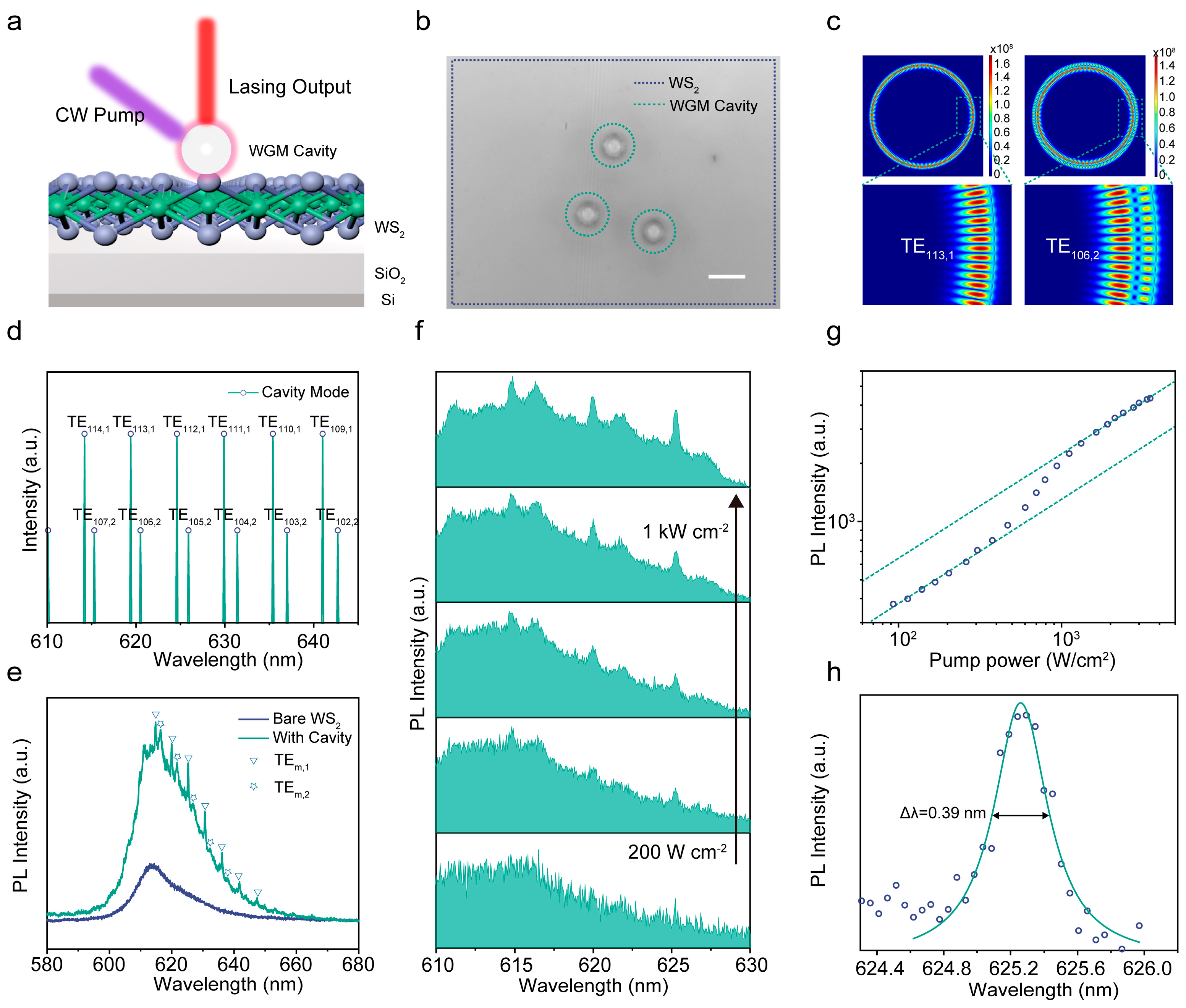 Nanomaterials 14 00614 g003