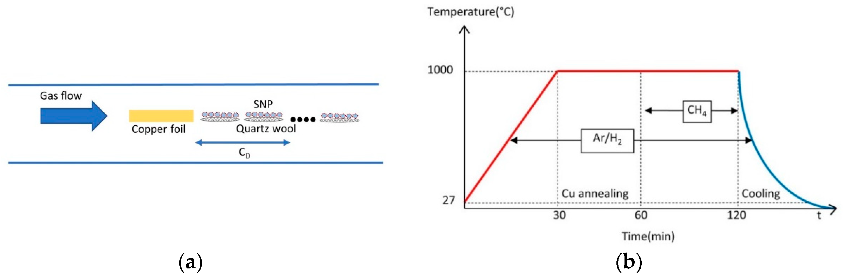 Nanomaterials 14 00618 g001