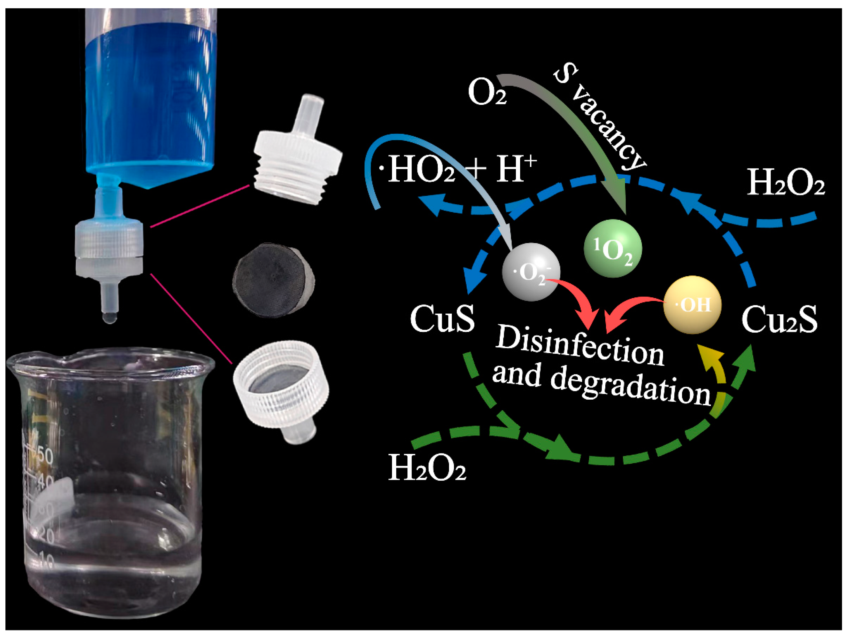 Nanomaterials 14 00621 g009