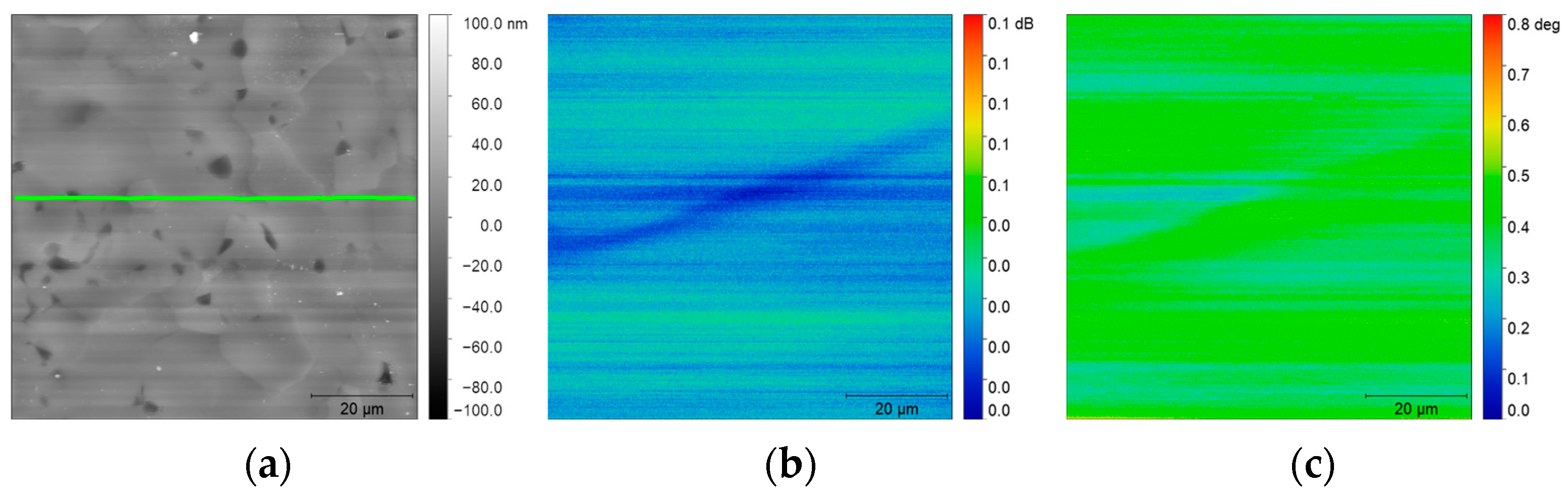 Nanomaterials 14 00628 g007