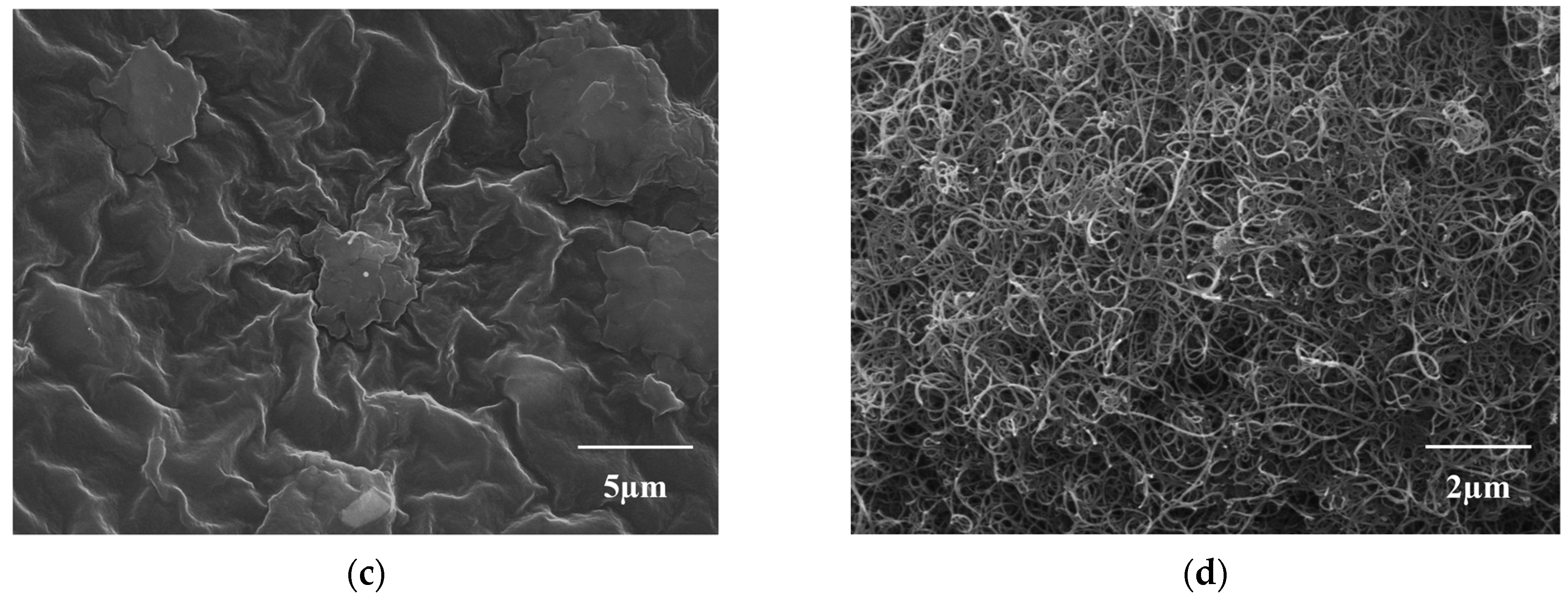 Nanomaterials 14 00632 g003b