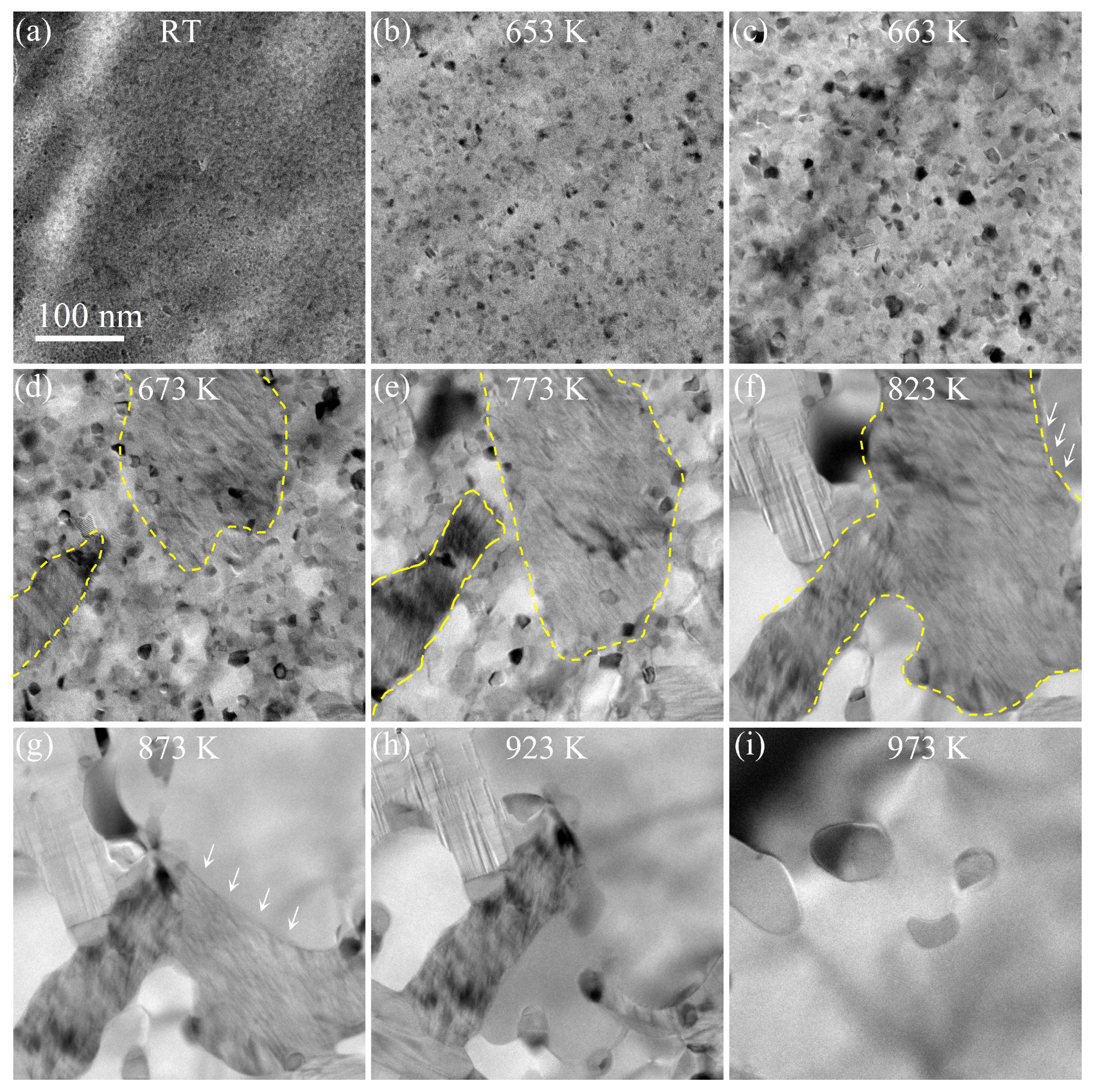 Nanomaterials 14 00635 g002 Nanomaterials 14 00635 g002
