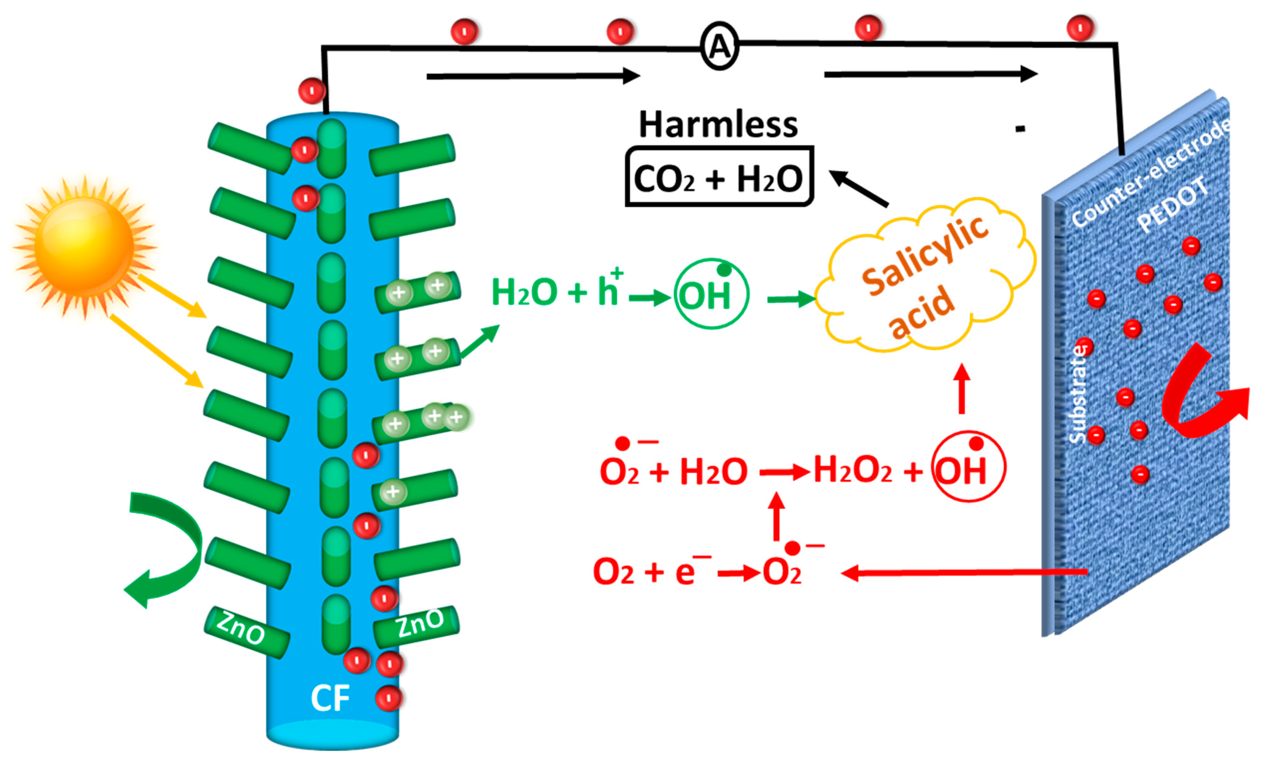 Nanomaterials 14 00636 g004