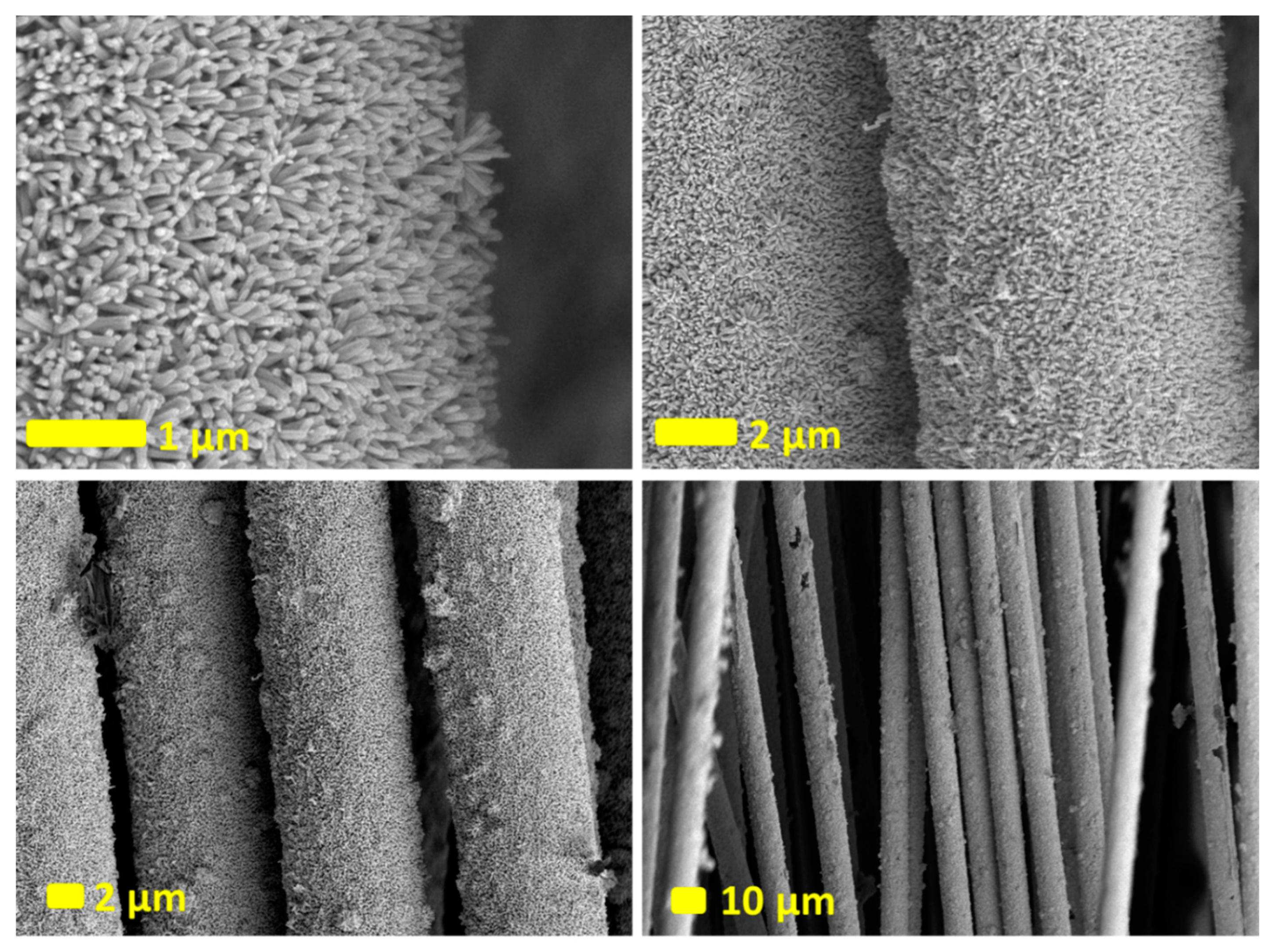 Nanomaterials 14 00636 g006