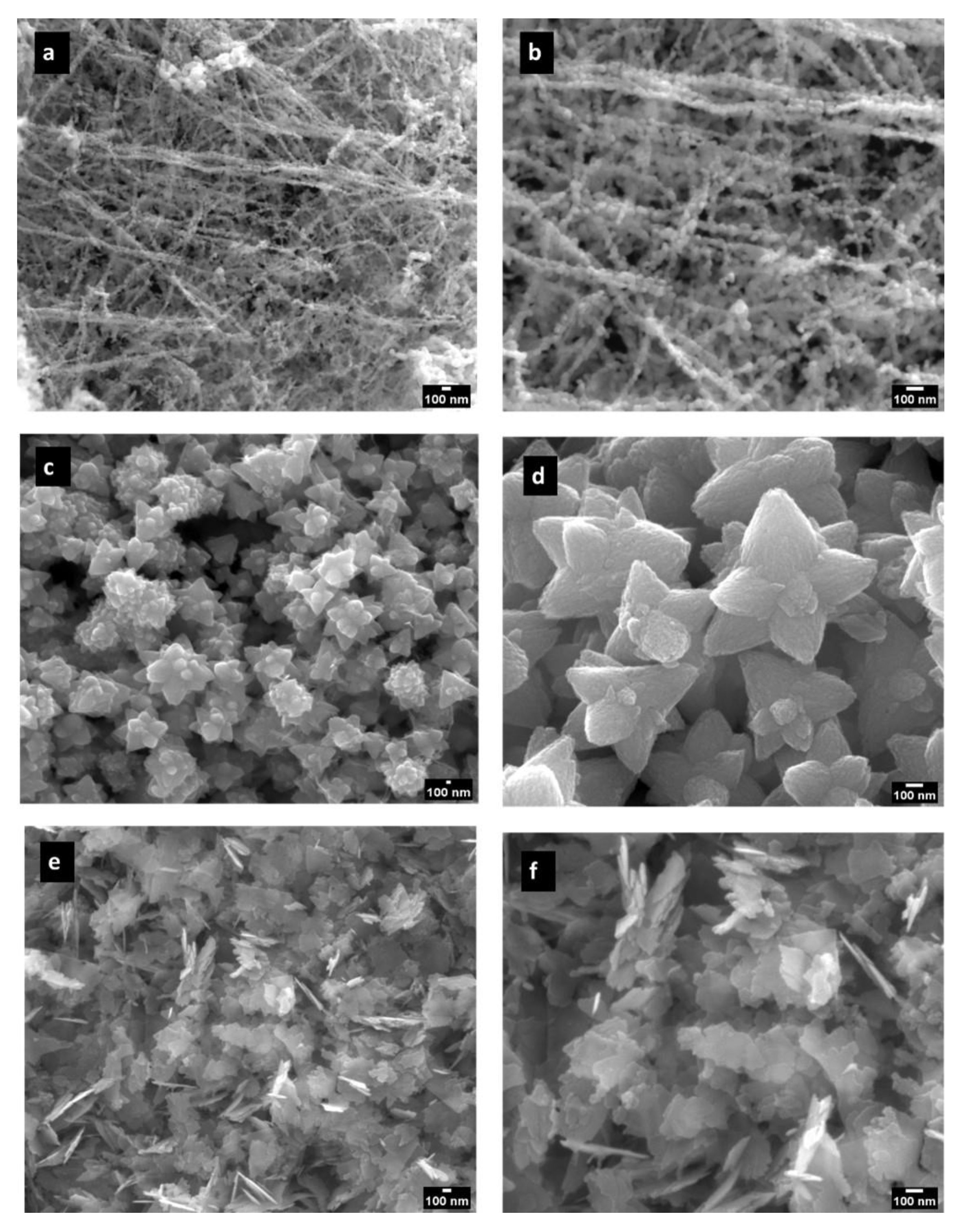 Nanomaterials 14 00638 g001