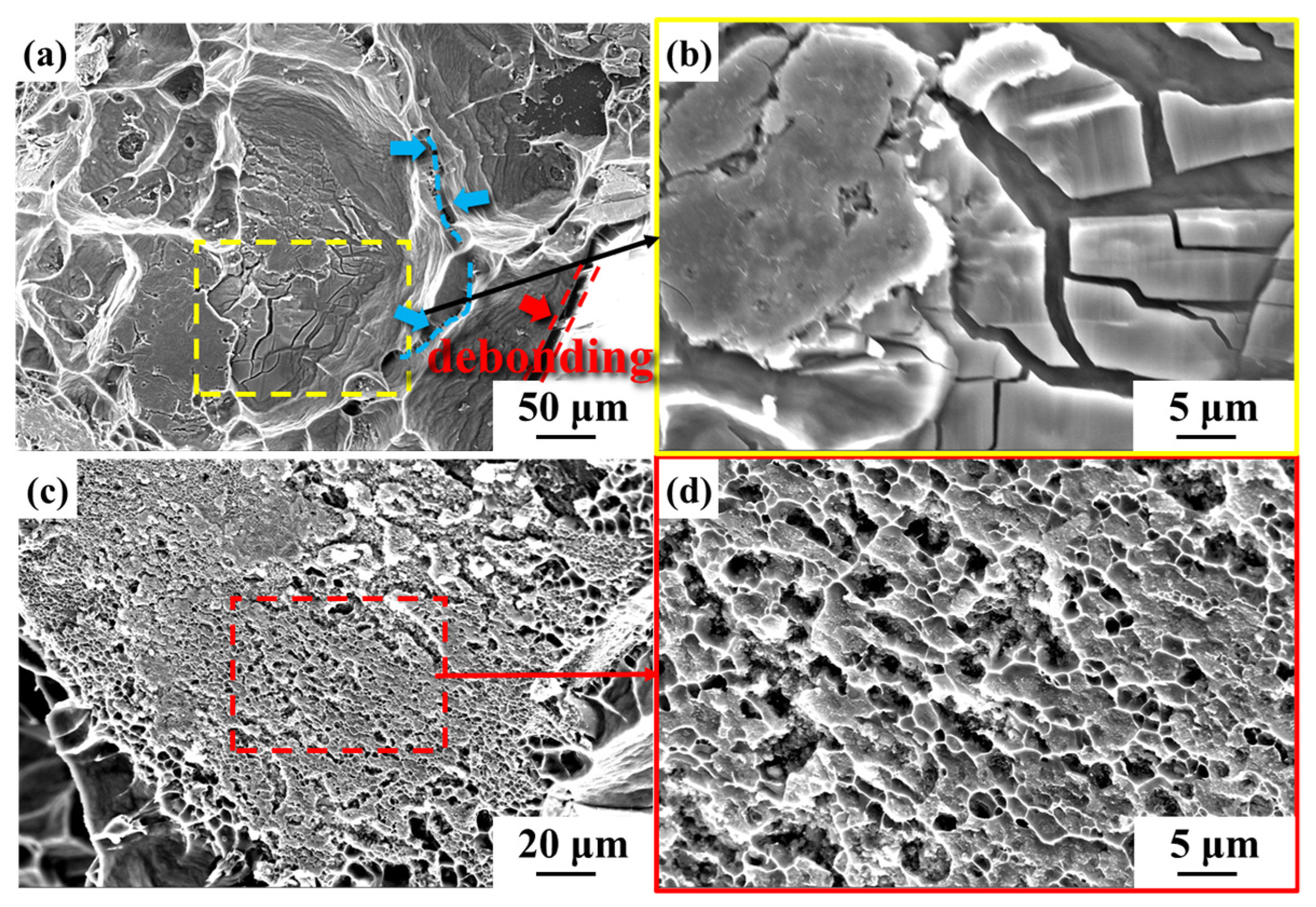 Nanomaterials 14 00640 g007
