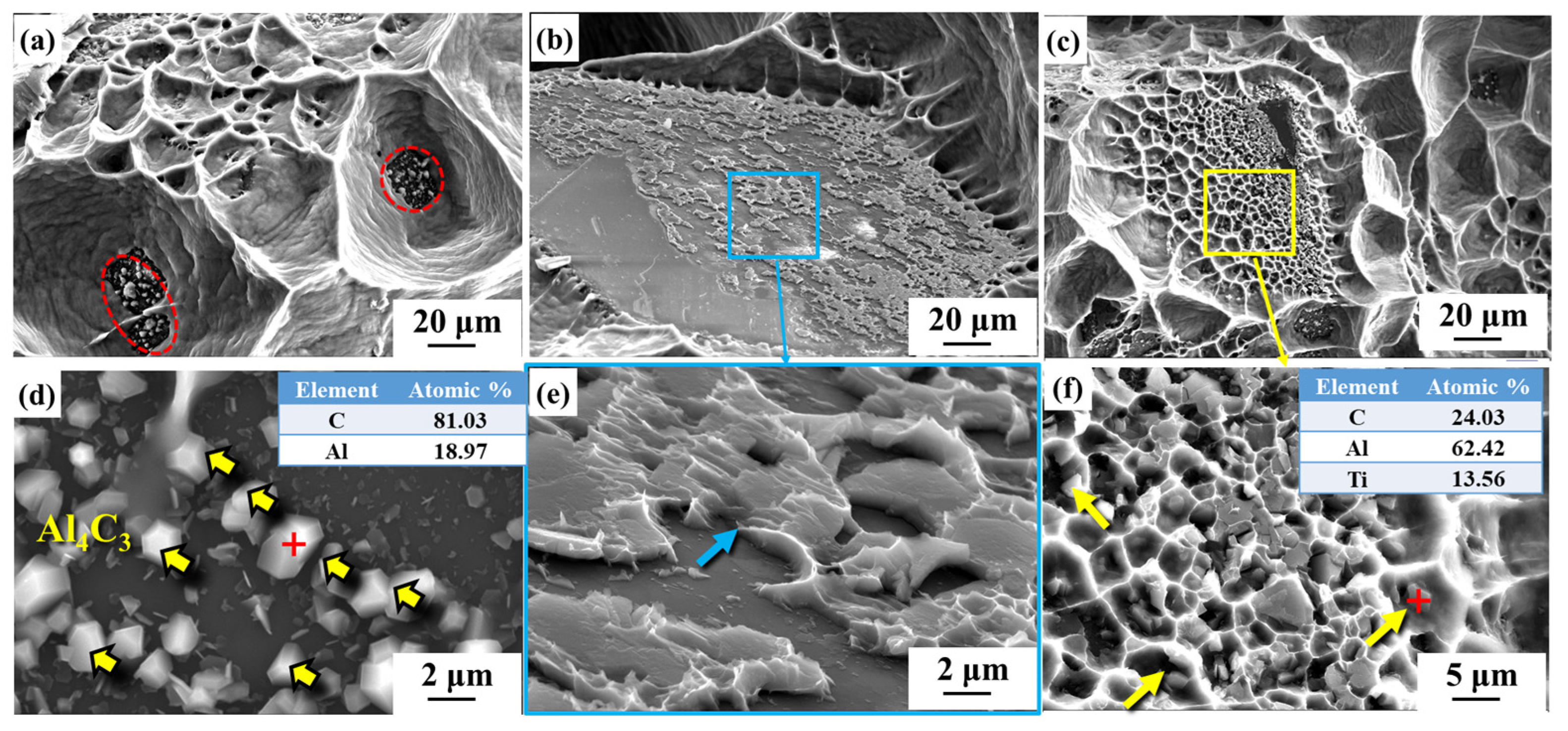 Nanomaterials 14 00640 g009