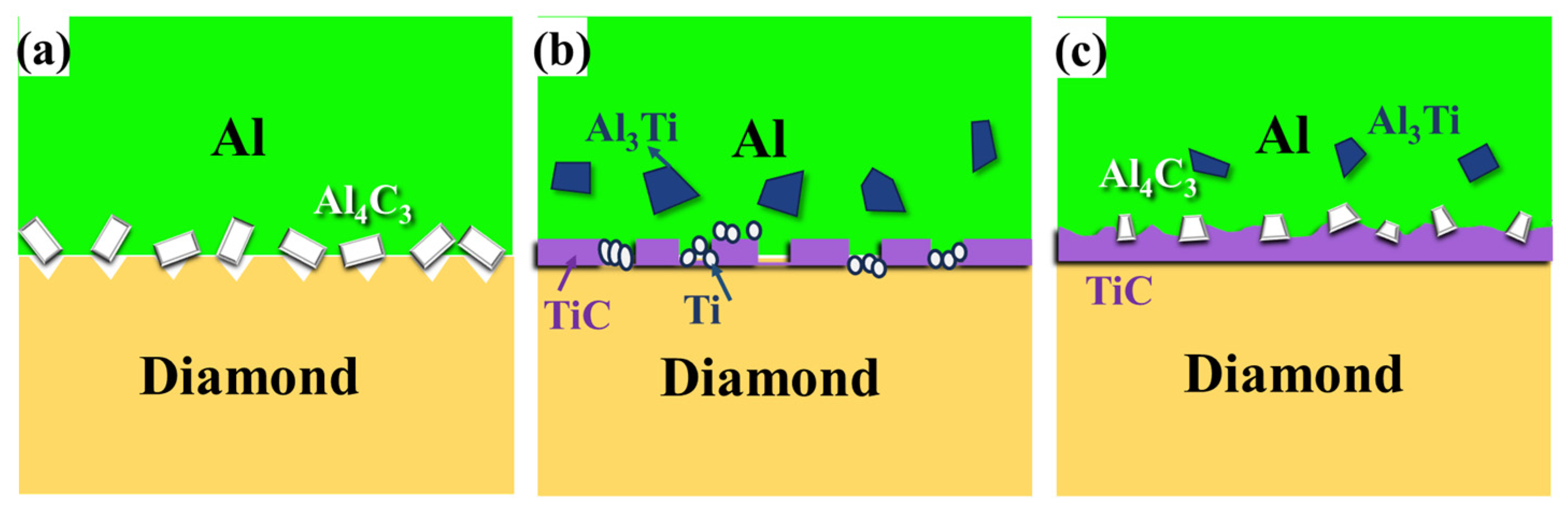Nanomaterials 14 00640 g010