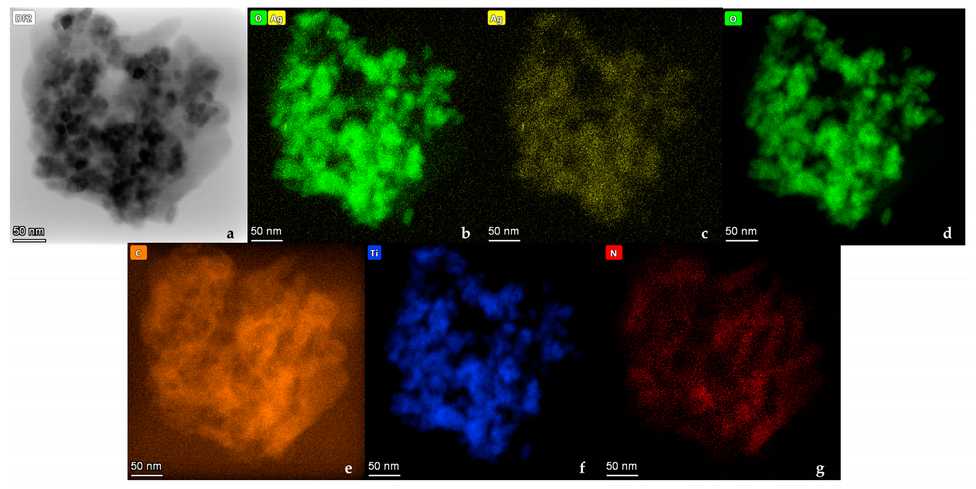 Nanomaterials 14 00642 g012