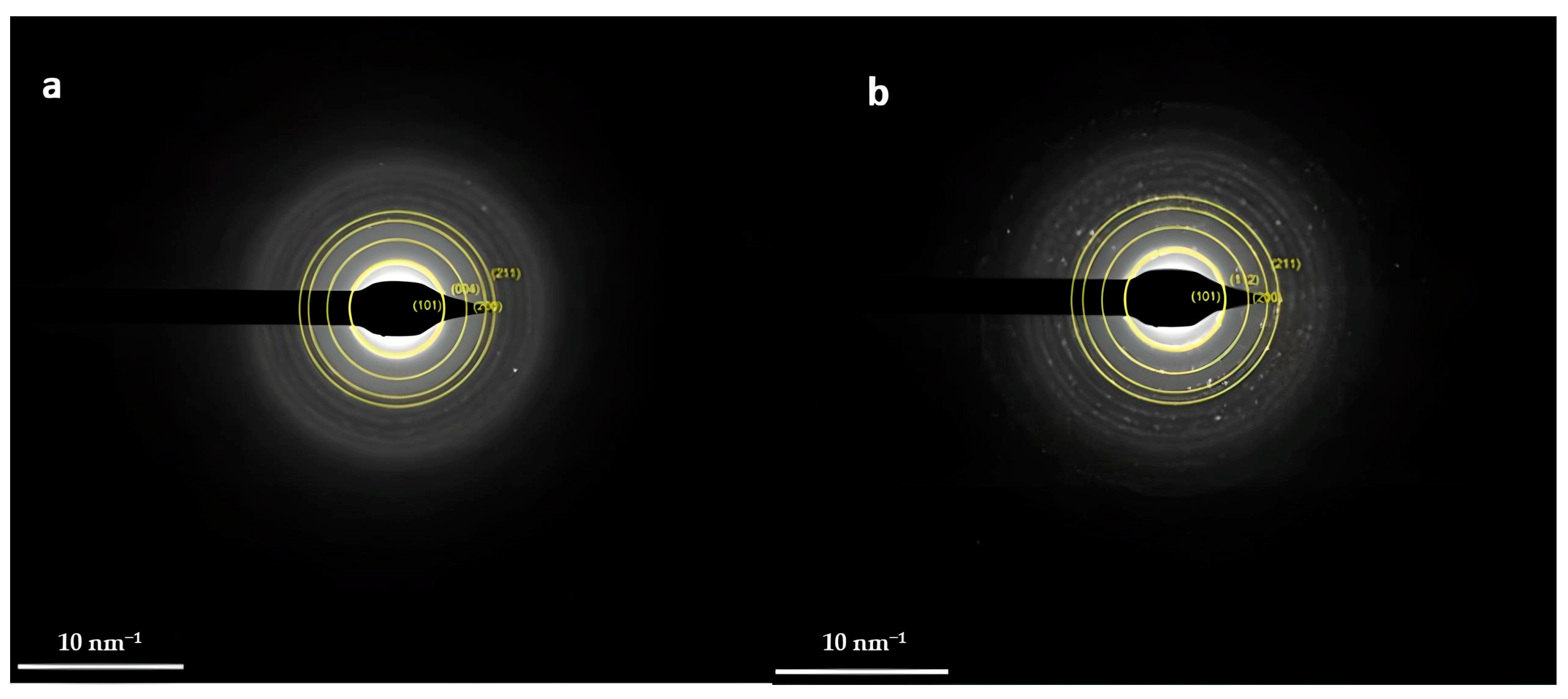 Nanomaterials 14 00642 g017