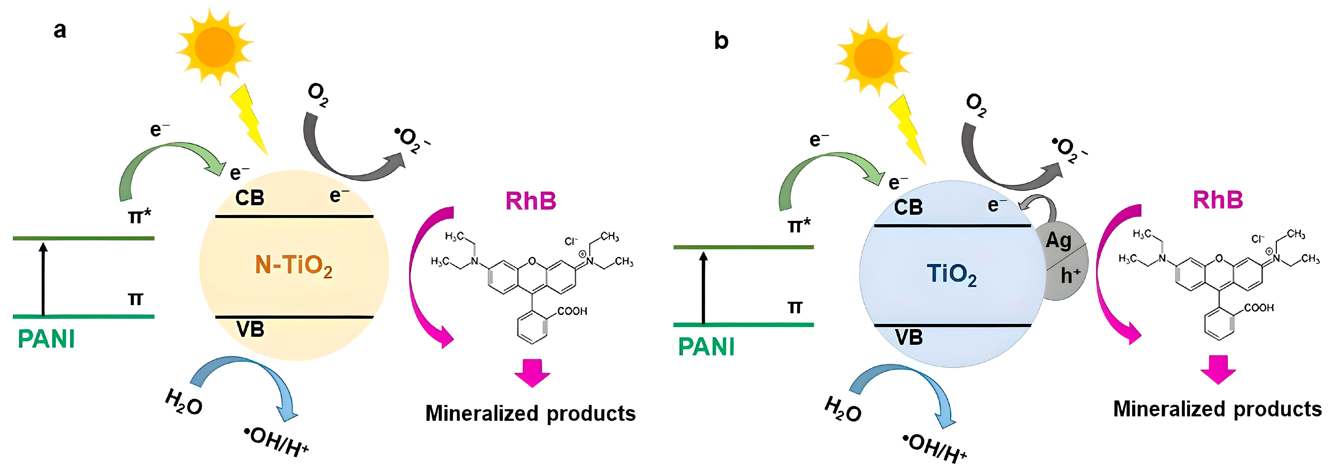 Nanomaterials 14 00642 g023